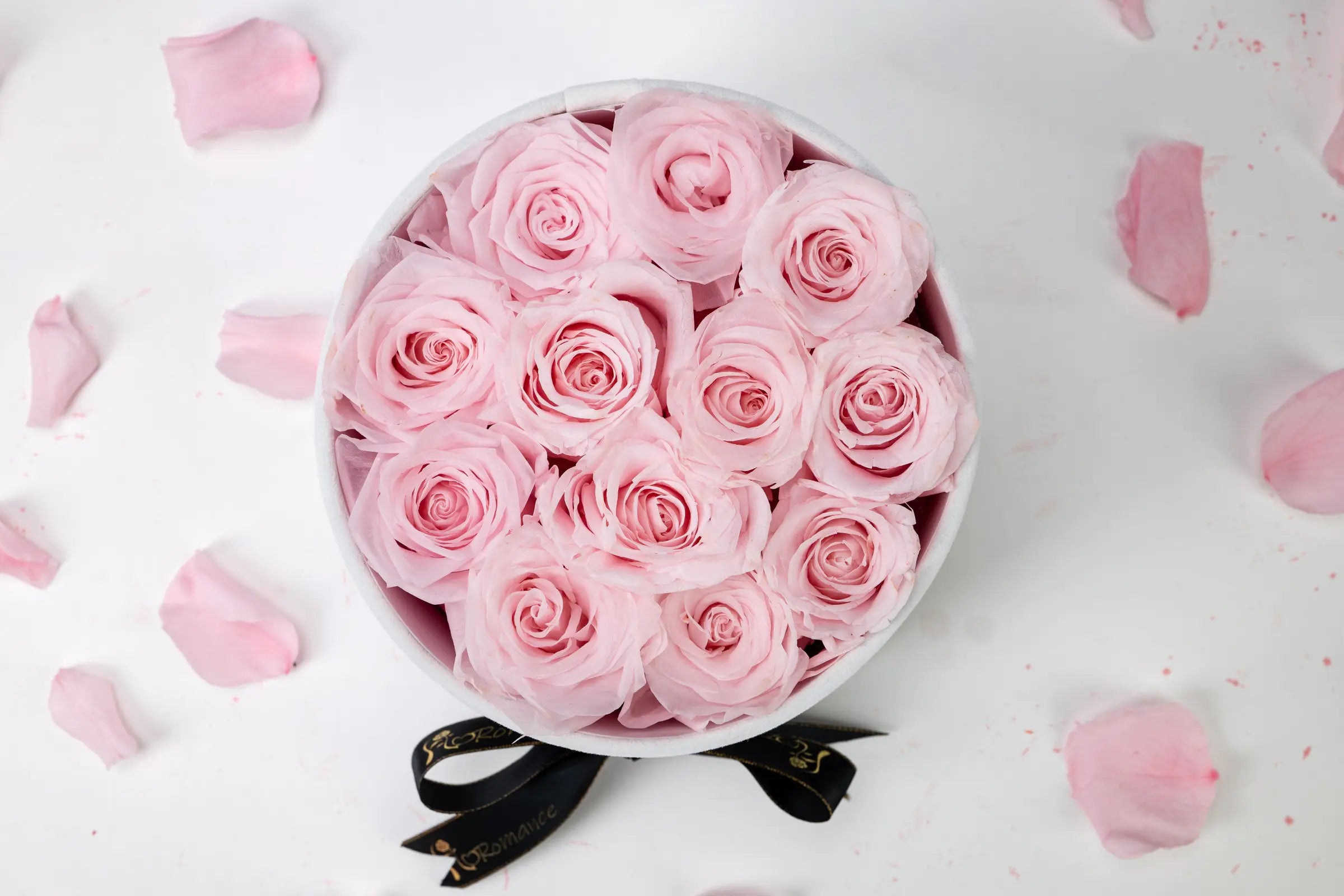 Anniversary Gifts,20250418-1