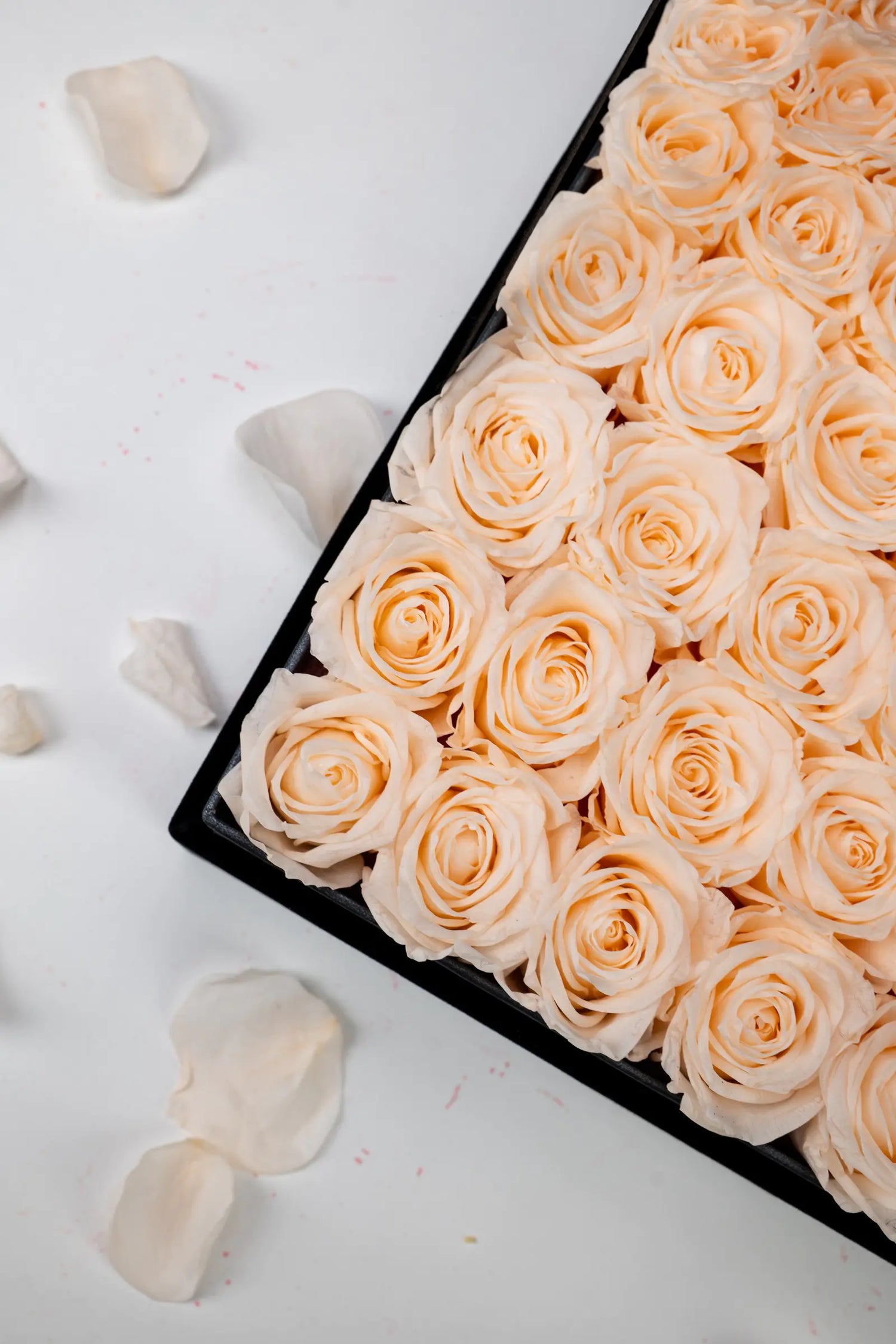 Anniversary Gifts,20250418-4