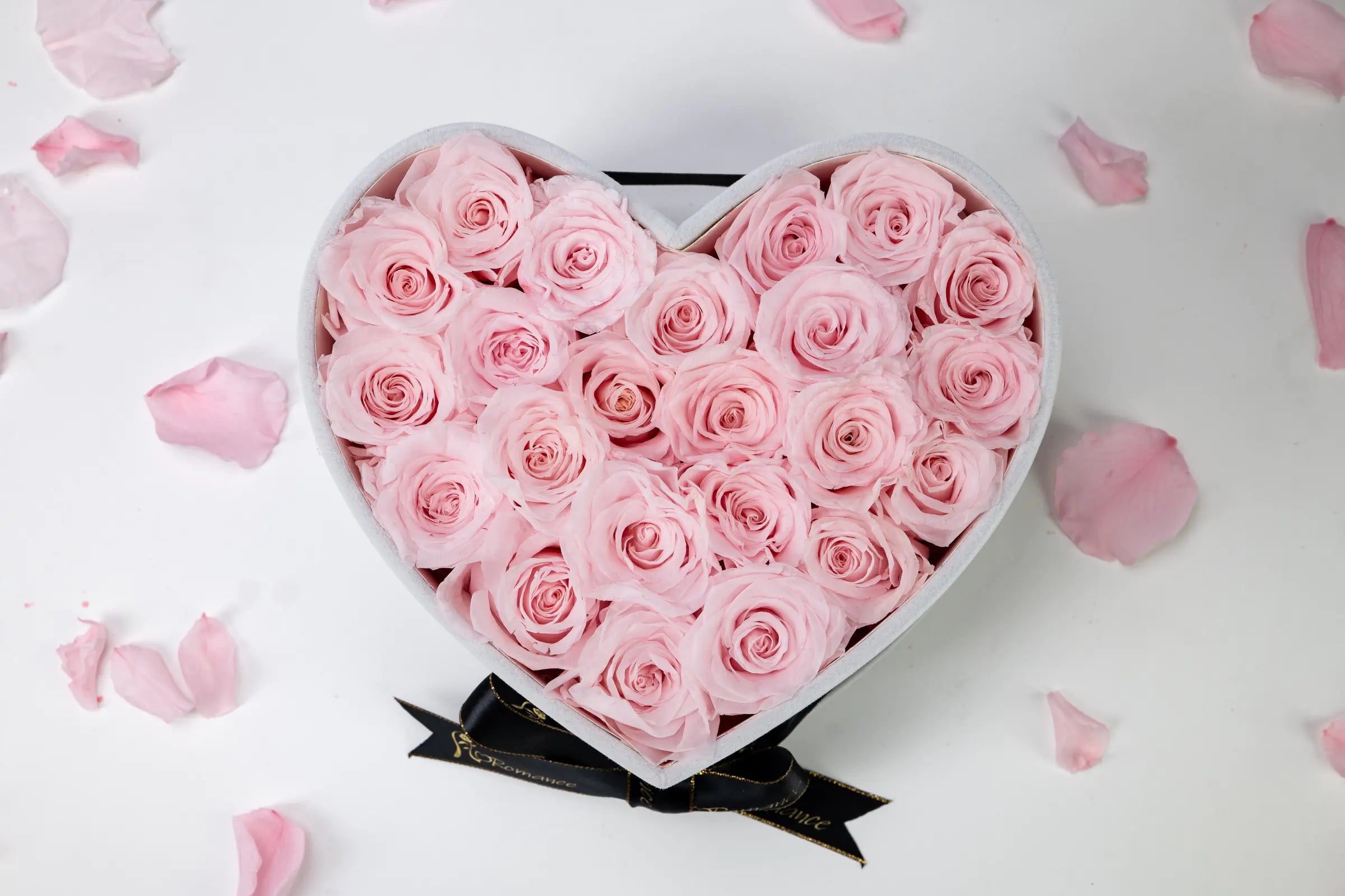 Flower Gift Shape,20250416-3
