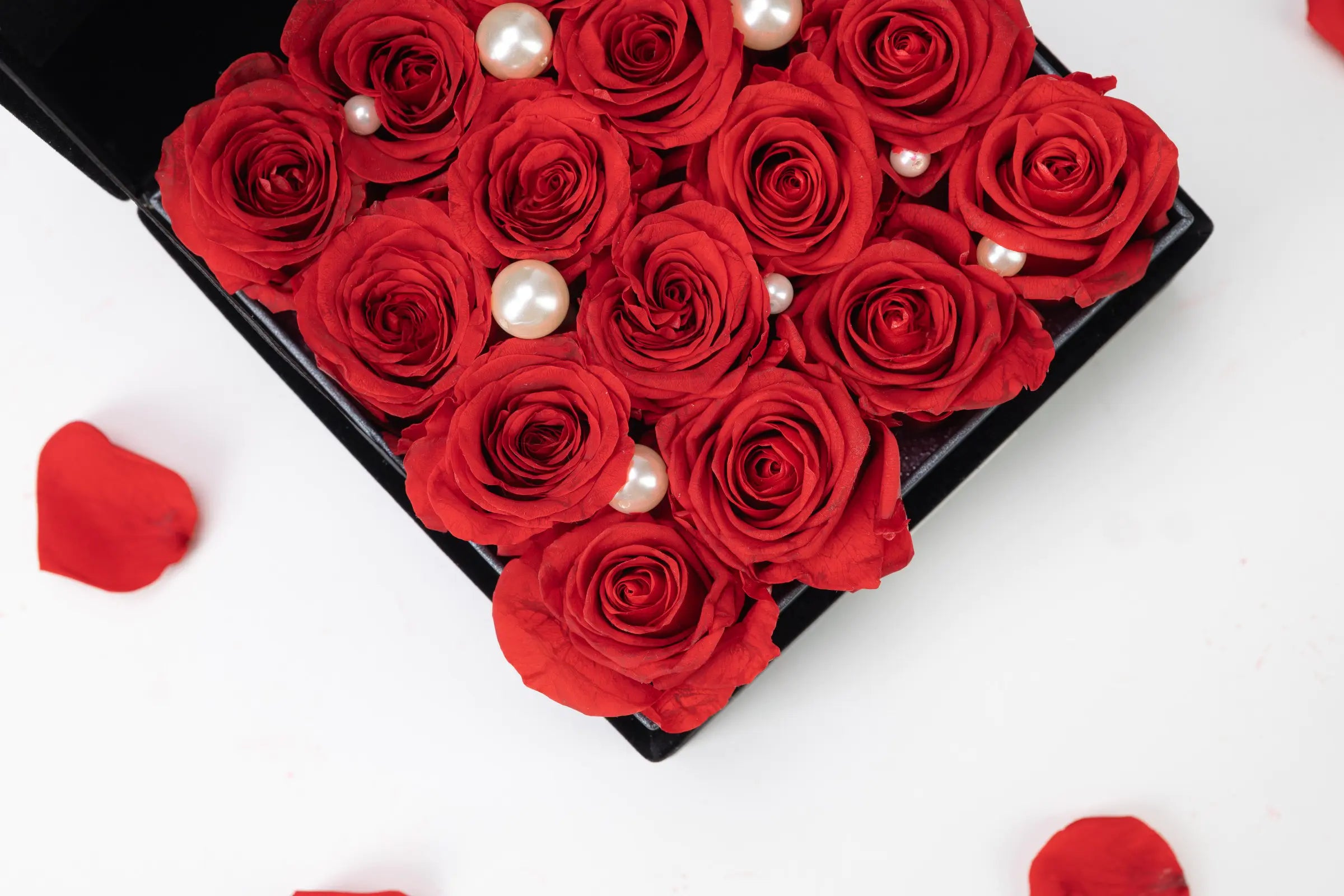 Forever_Flower_20250416-5