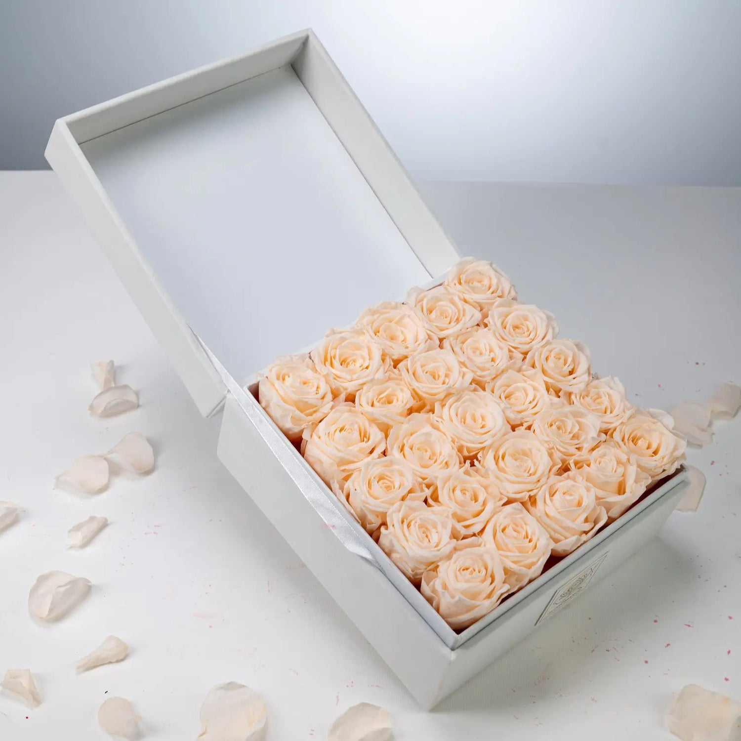 Holiday Flower,20250417-6