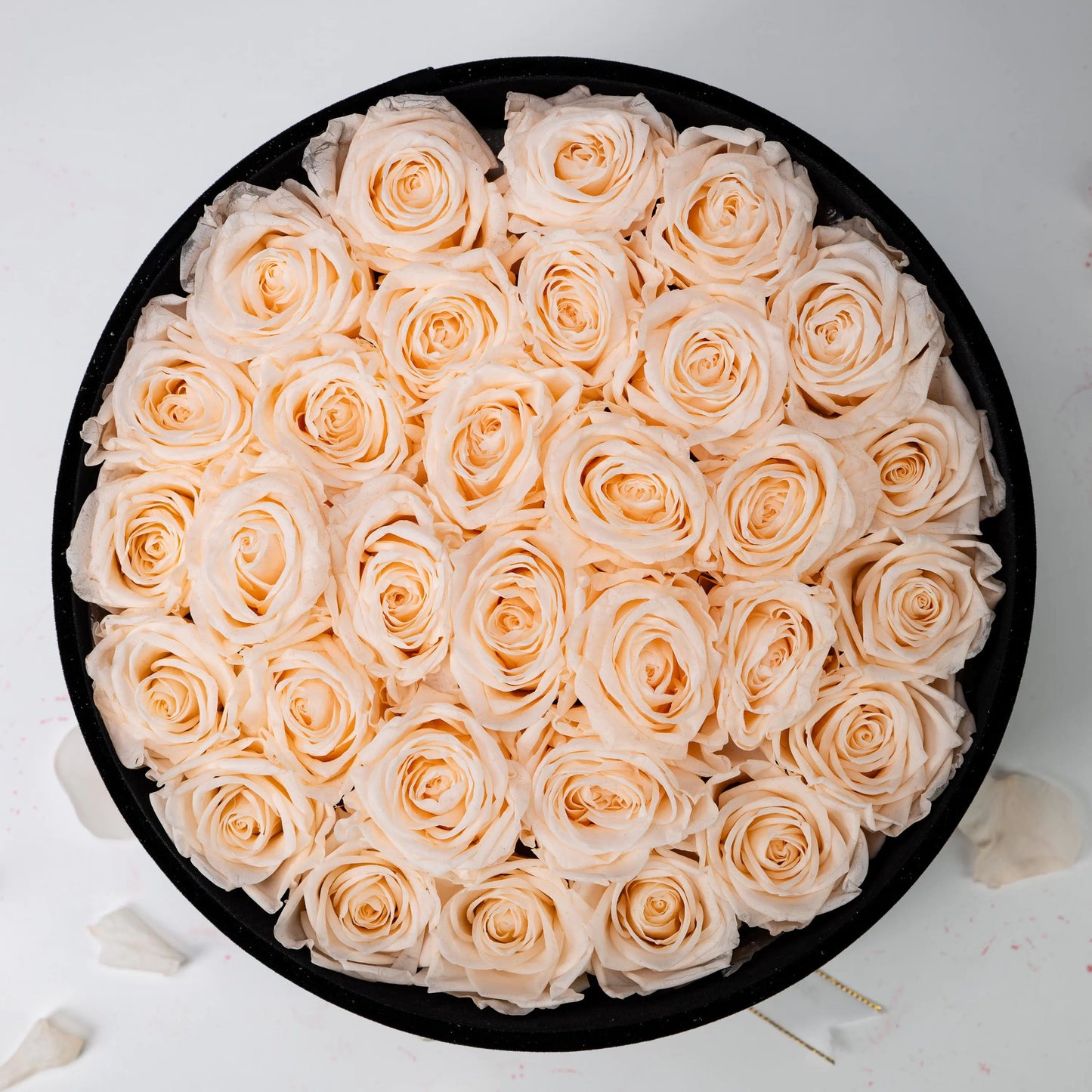 Bespoke Champagne Roses in Large Round Black Gift Box