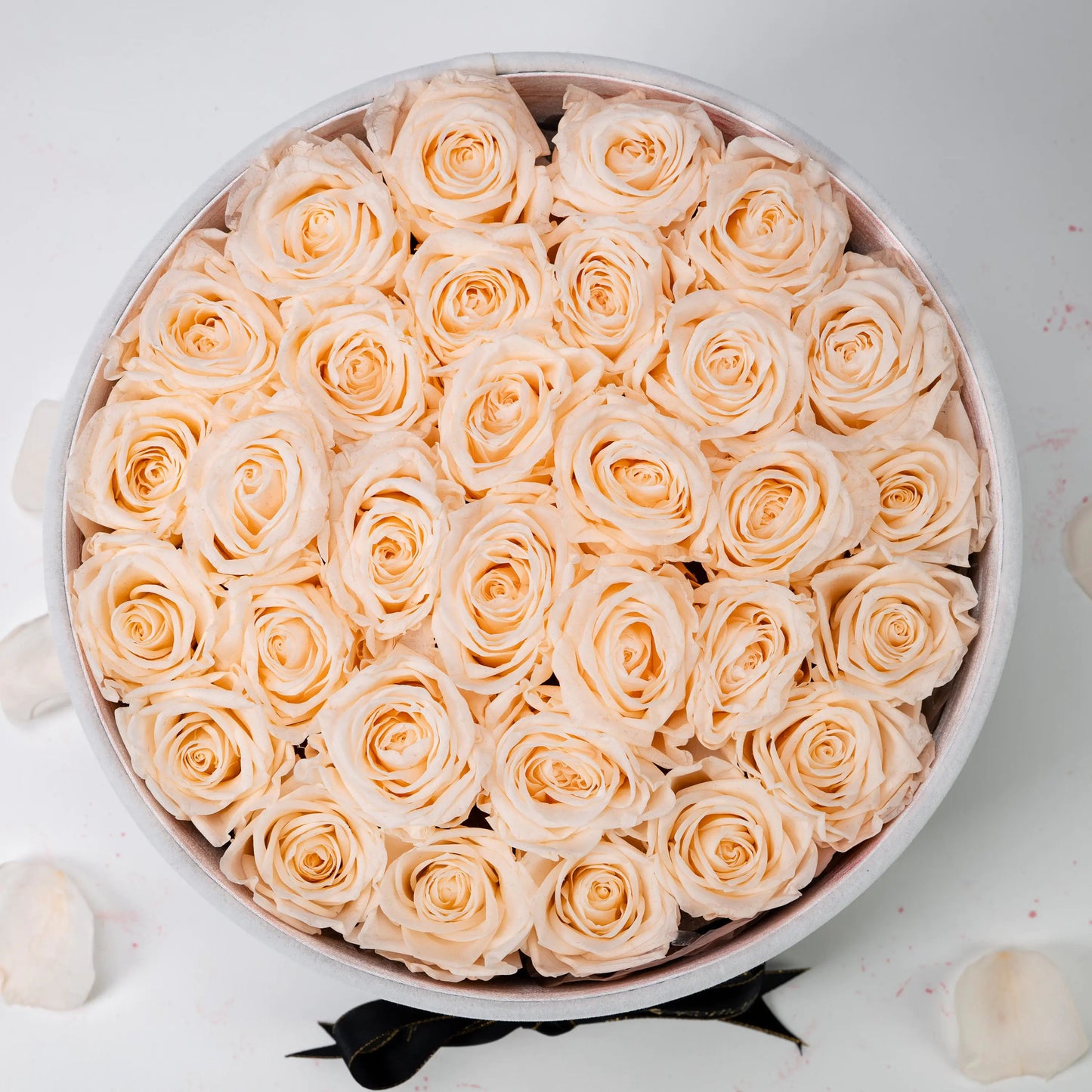 Bespoke Champagne Roses in Large Round White Gift Box