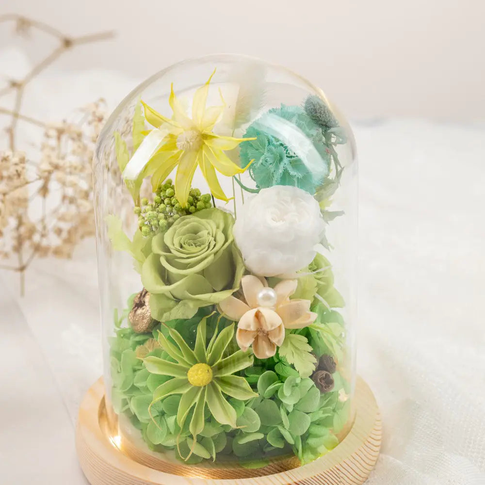 Preserved Flower in Glass Dome,20250507-16