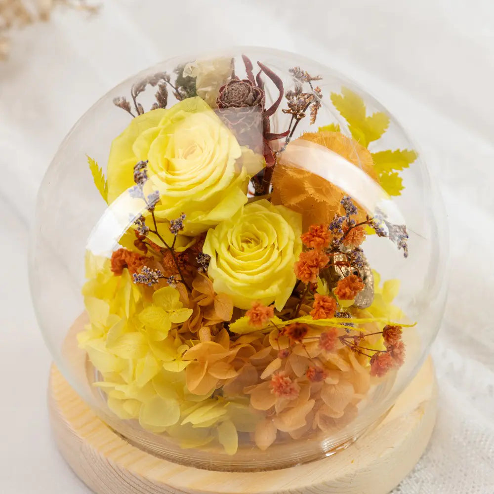Preserved Roses in Glass Dome,20250506-13