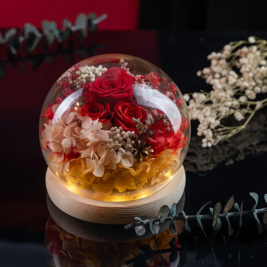 Preserved Roses in Glass Dome,20250506-2