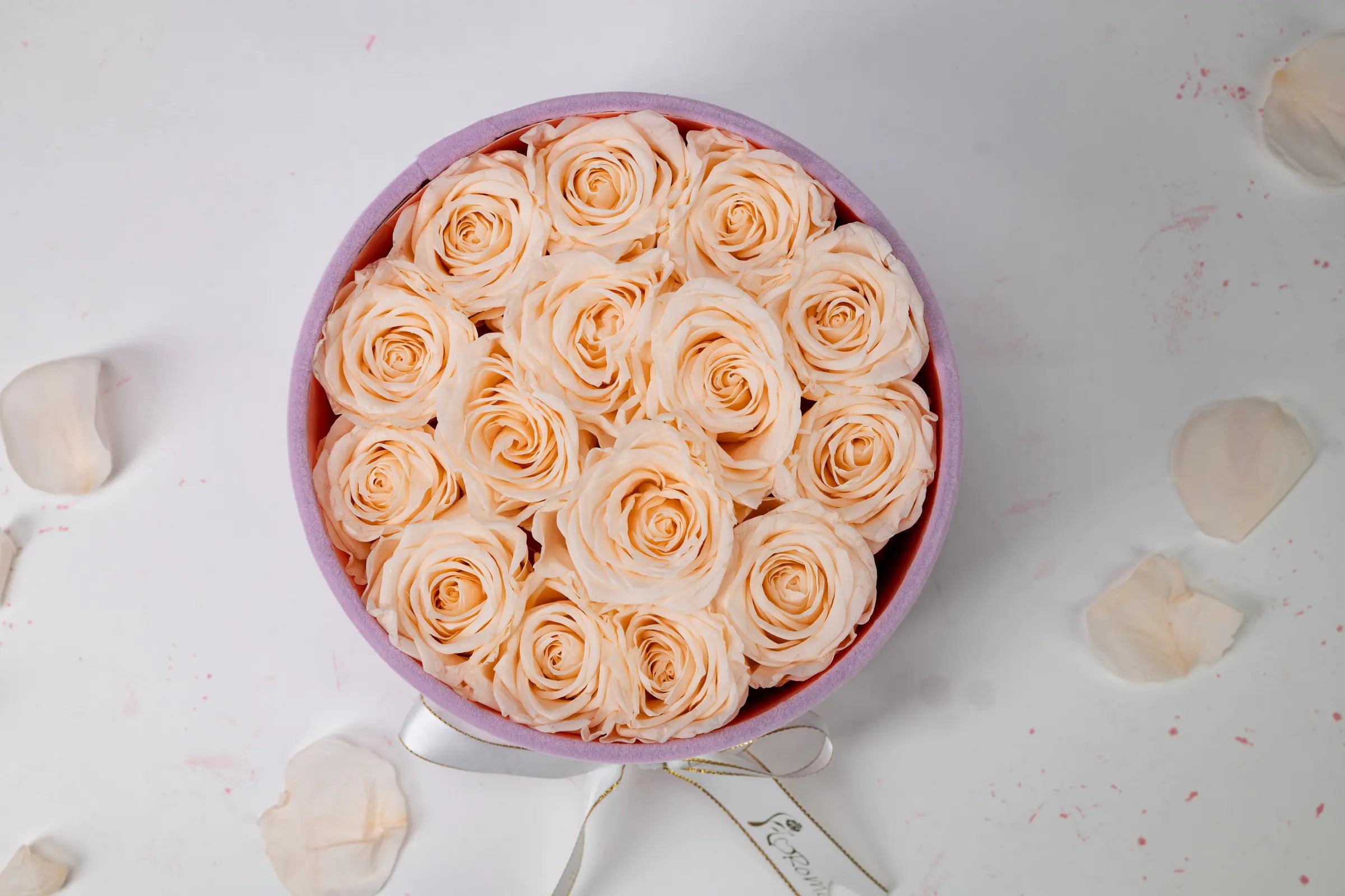 Round Flower Box,20250417-11