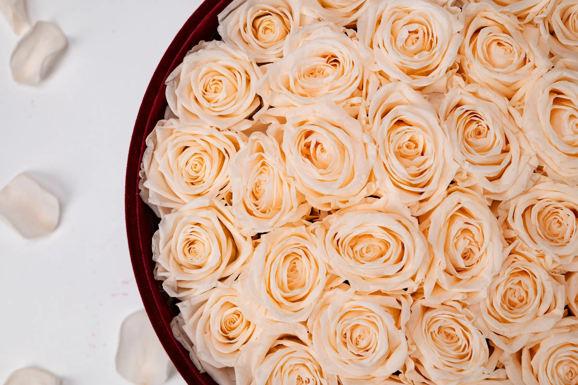 Round Flower Box,20250417-3