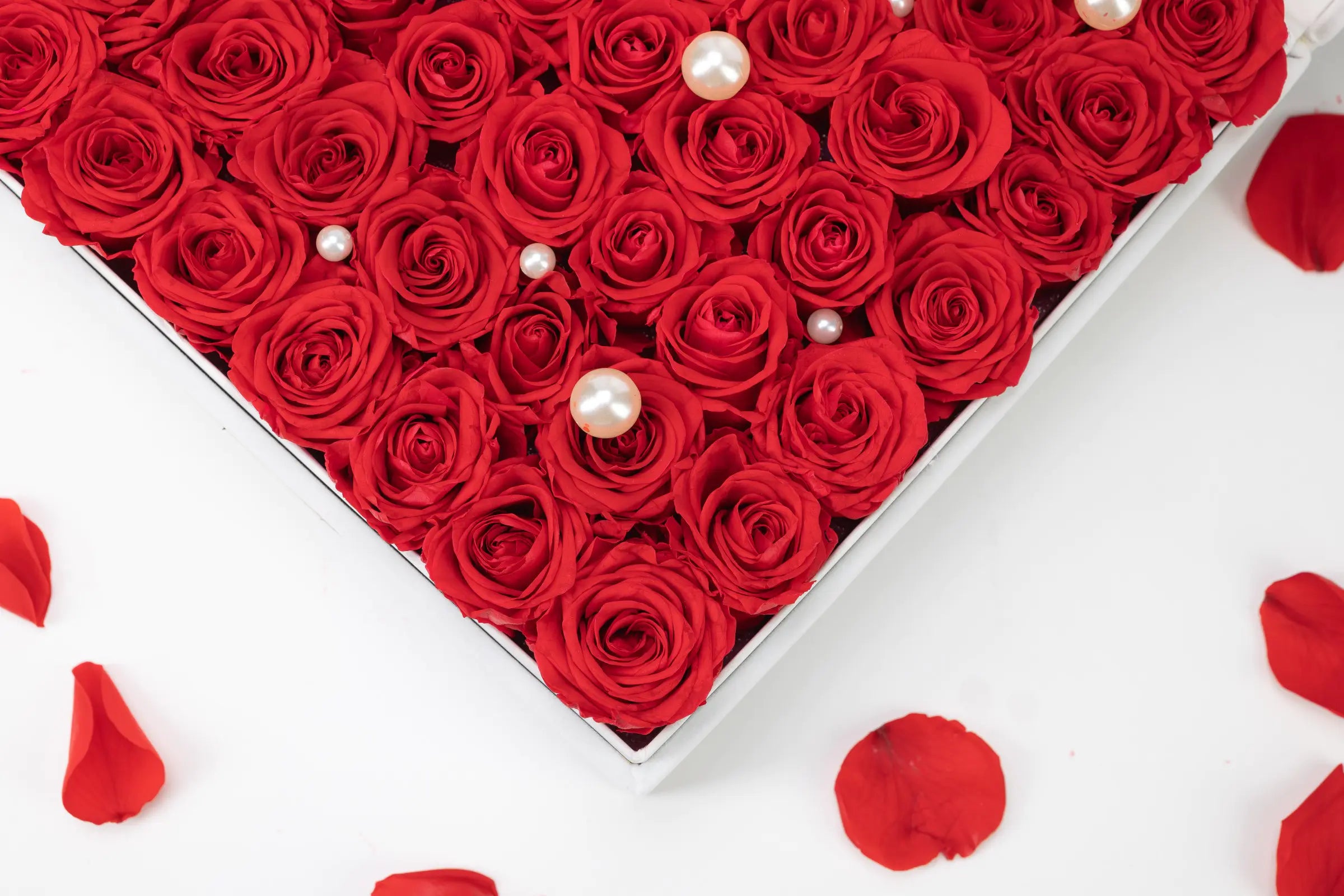 Teacher_s_Day_Gift_20250418-13