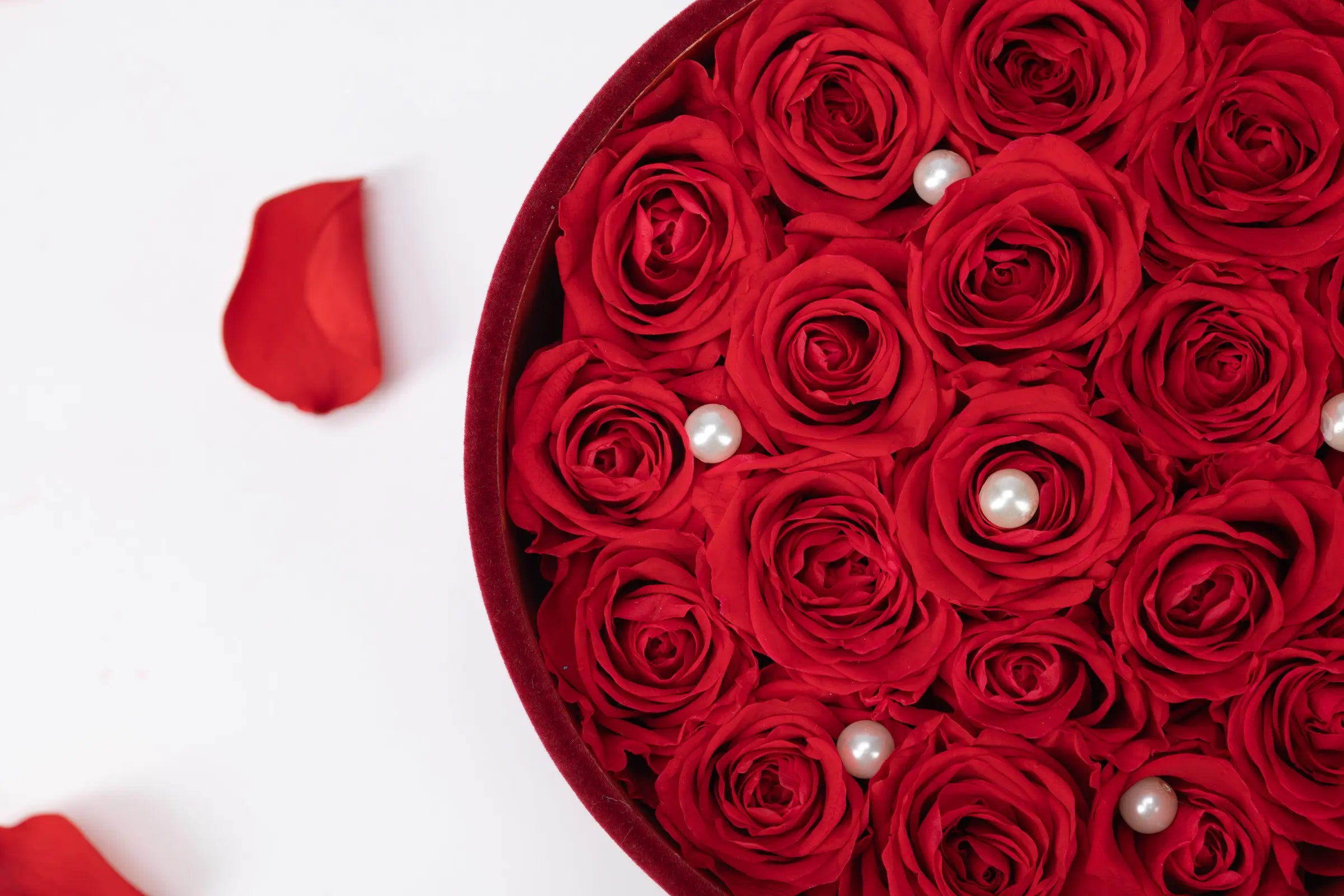 Valentine's Day Gift,20250417-1