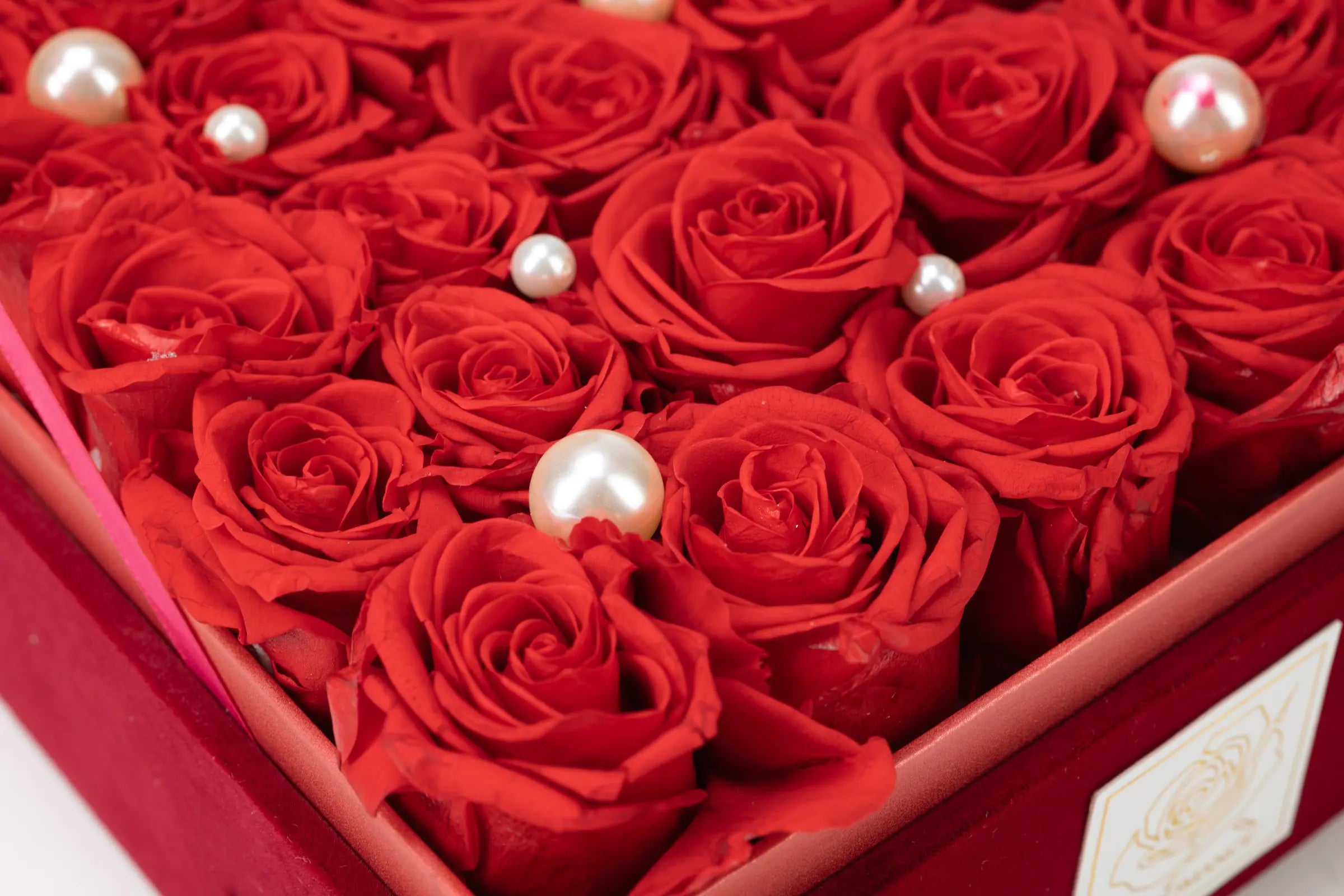 Valentine's Day Gift,20250417-7