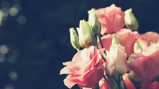 Forever Love: Why Moms Deserve Forever Flowers