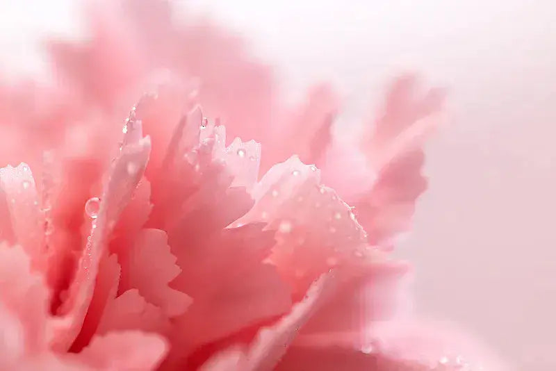 The Flowers That Remind Us of Mom’s WarmthCustomized Romantic Rose Gift，Forever Flower，forever flowers，Mother's Day Gift-1