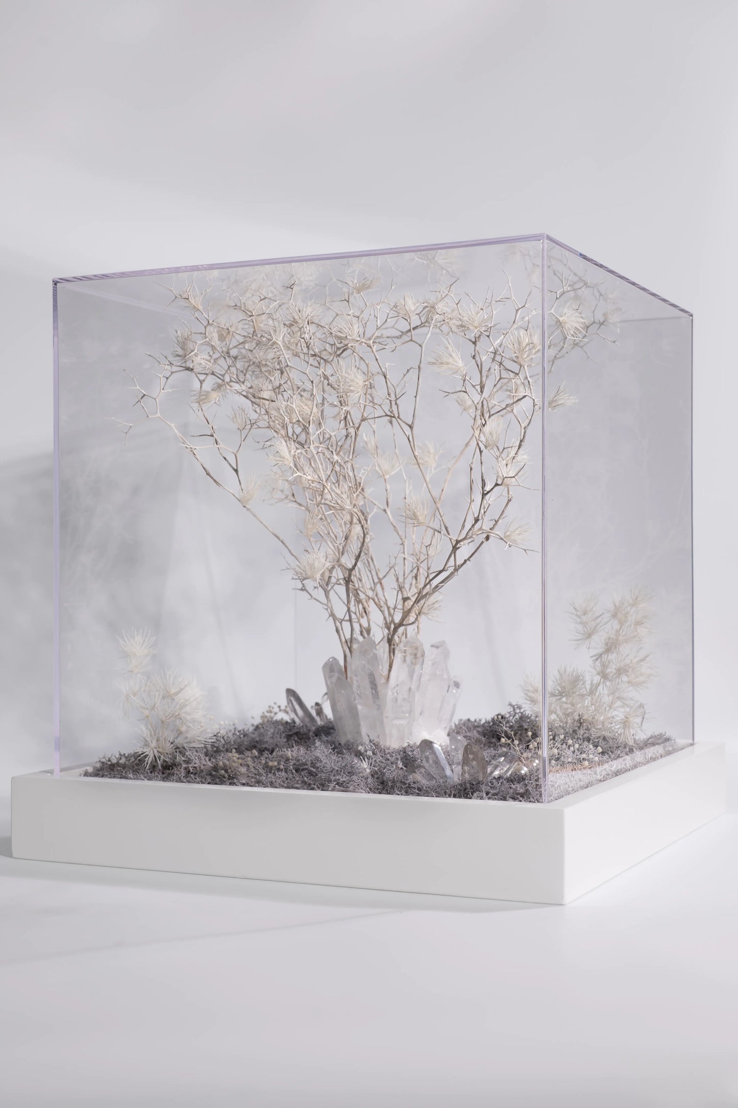 The Aura Objet™ - Crystal & Branch Mineral Sculpture