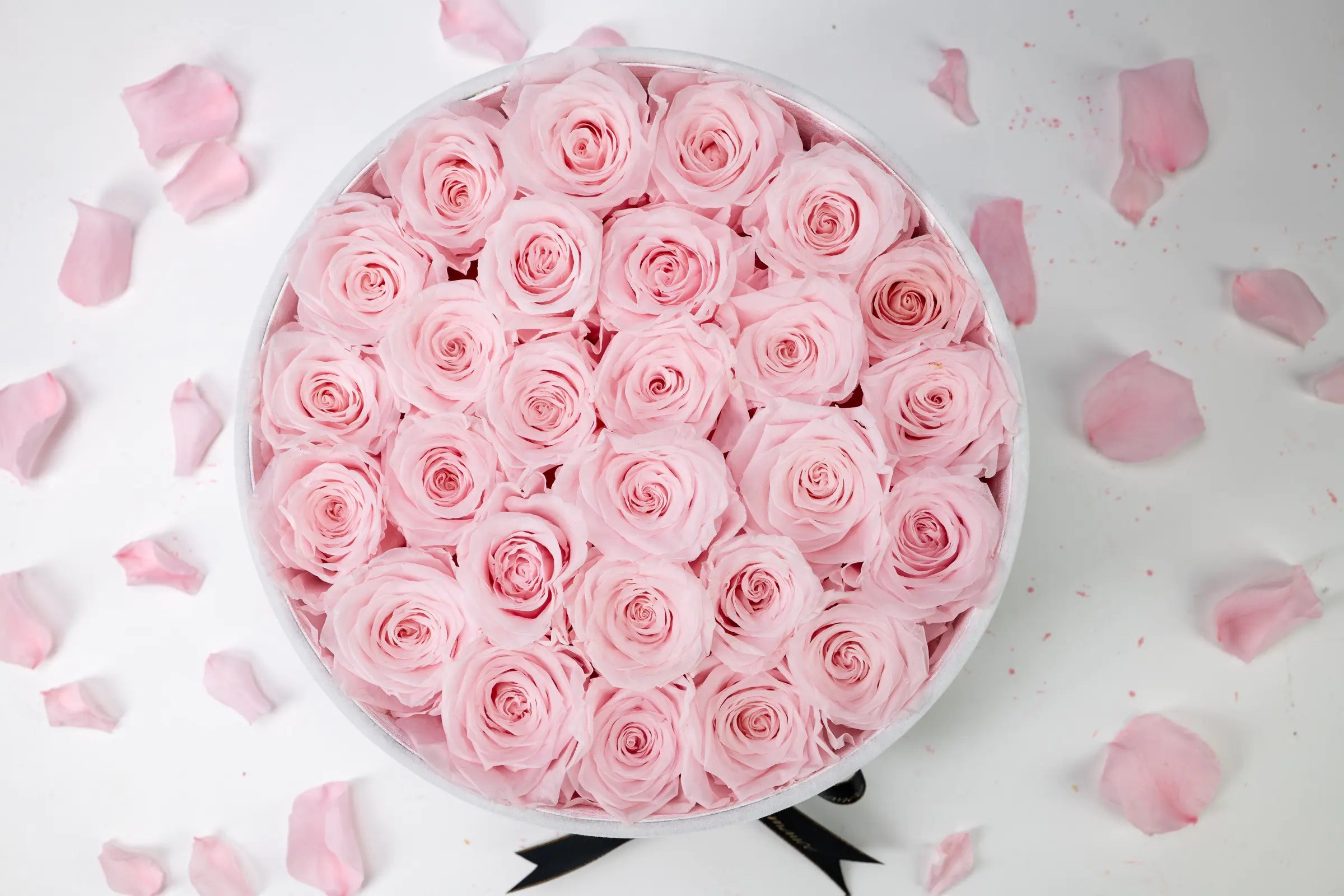 Anniversary Gifts，20250418-12