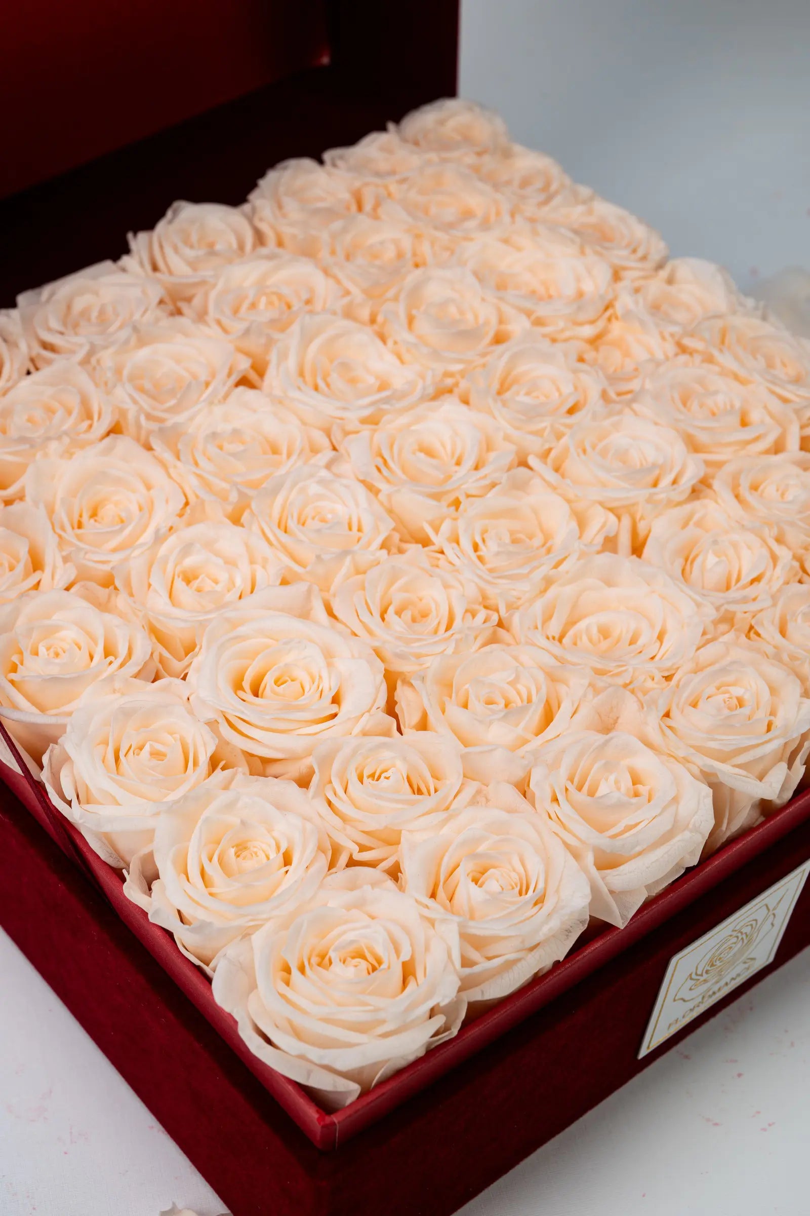 Anniversary Gifts，20250418-7