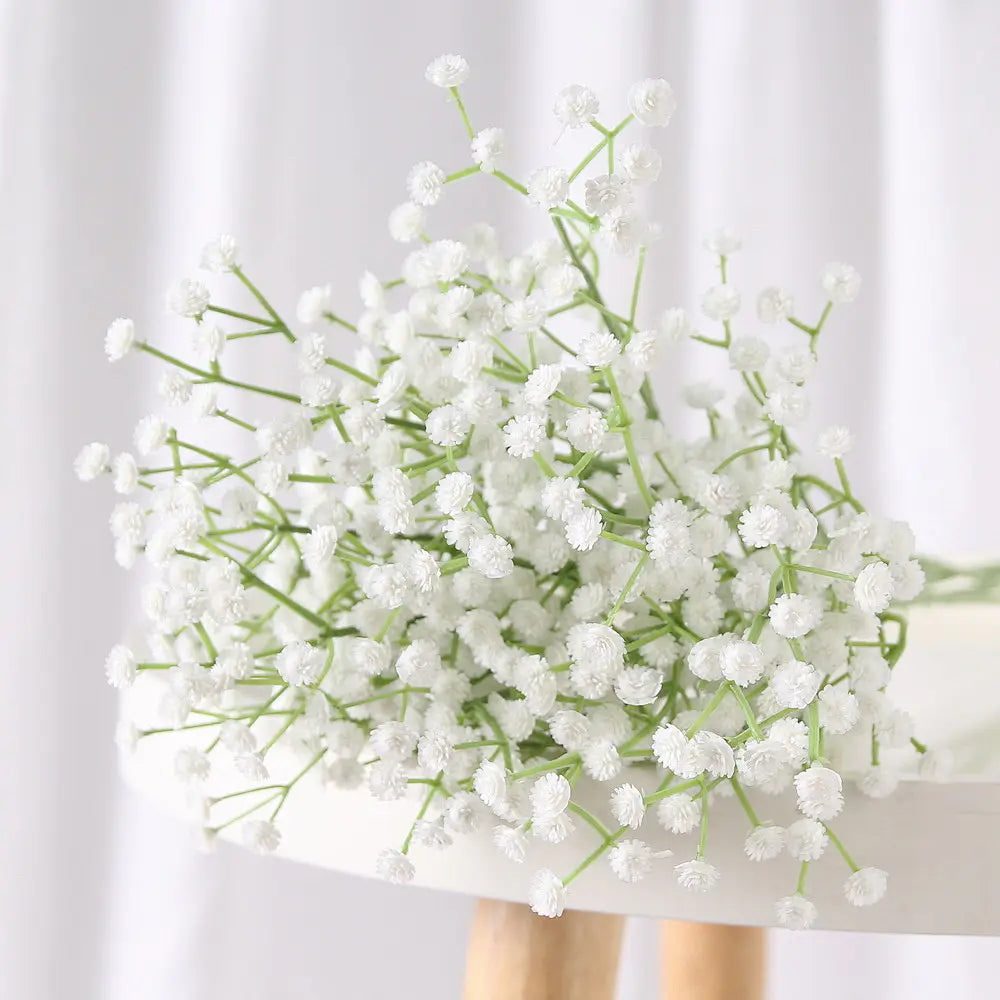 Baby's Breath (Gypsophila): Ethereal Purity & Everlasting Love