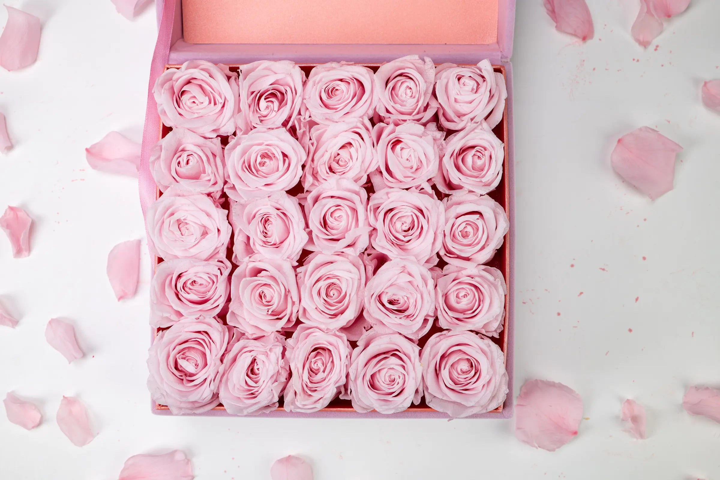 Birthday Flowers，20250417-10