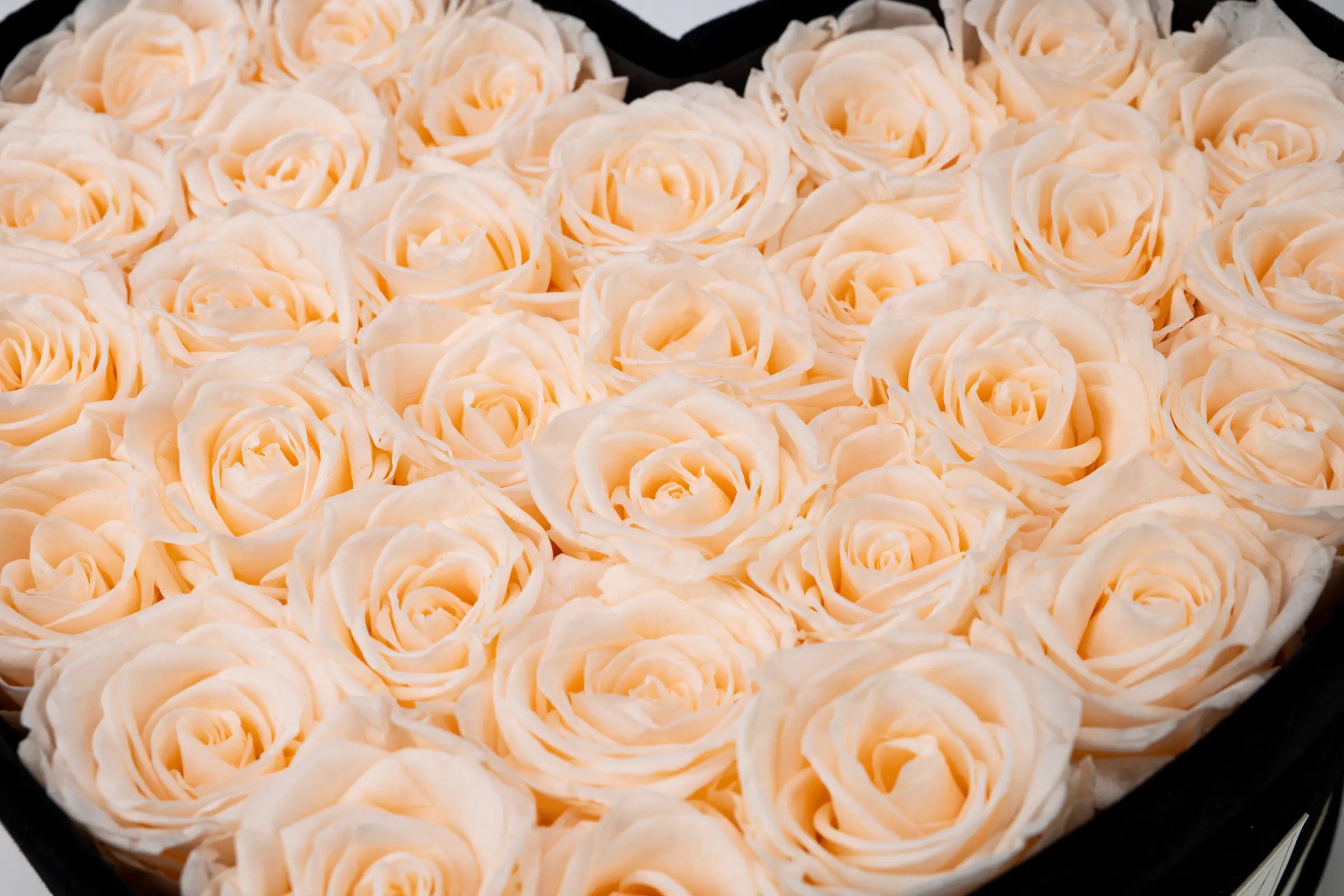 Birthday Flowers，20250417-3