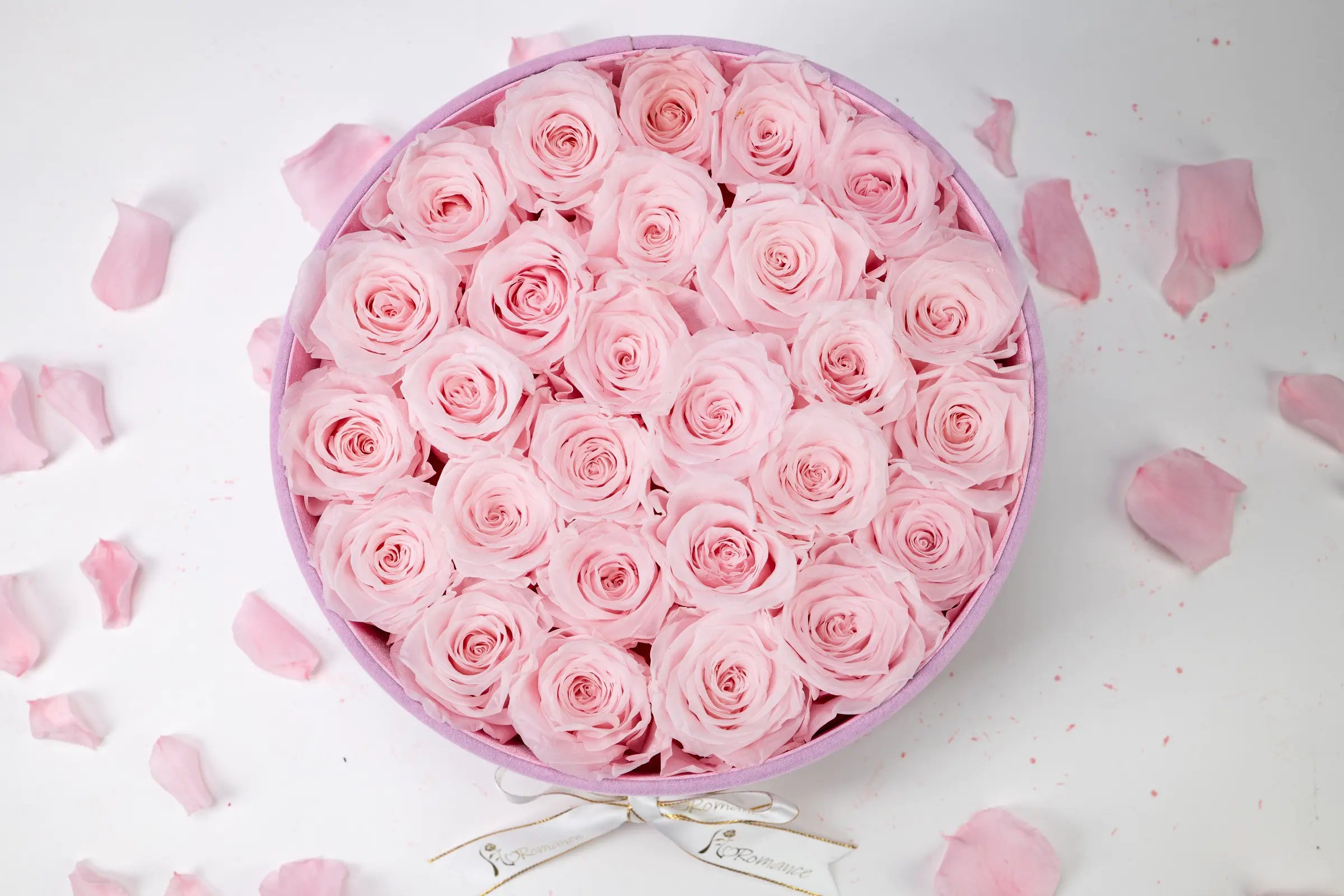 Birthday Flowers，20250417-8