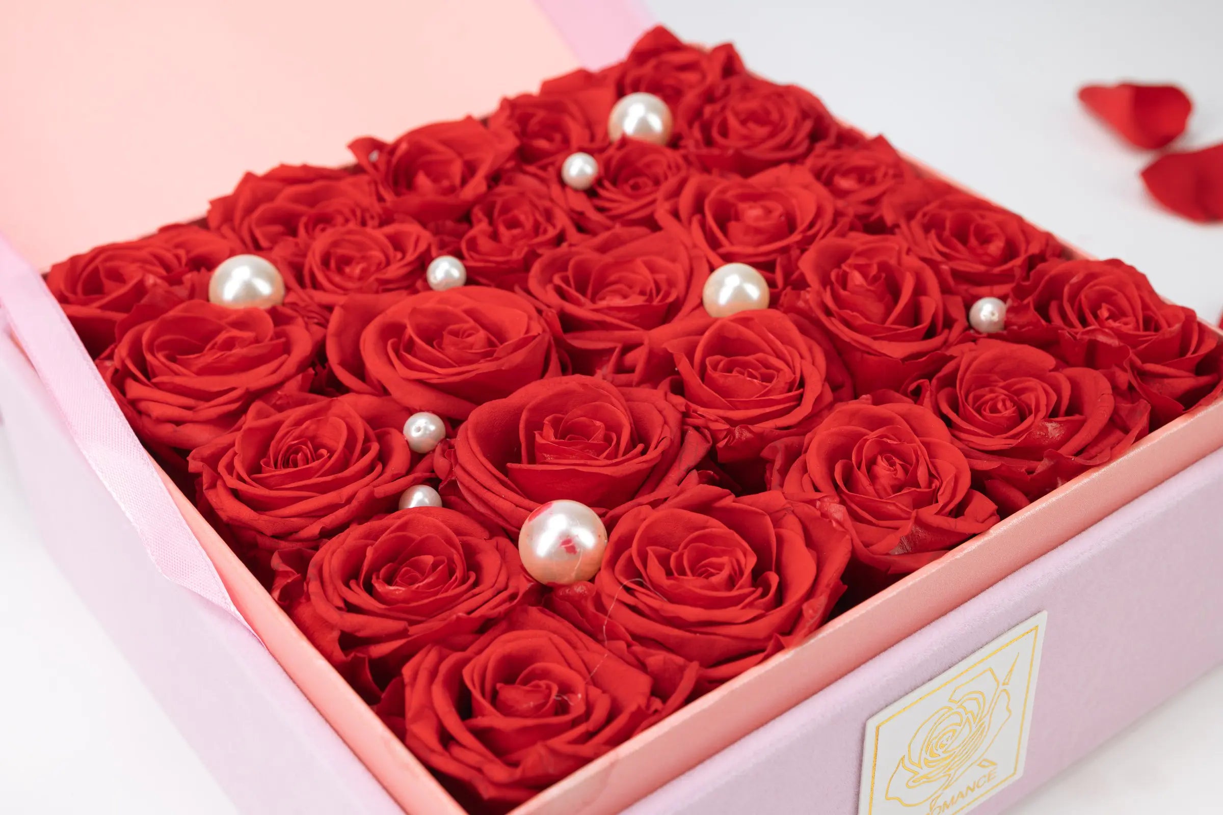 Christmas Gifts，20250417-7