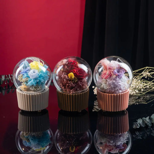 Eternity Flower Music Gift Box，20250506-1