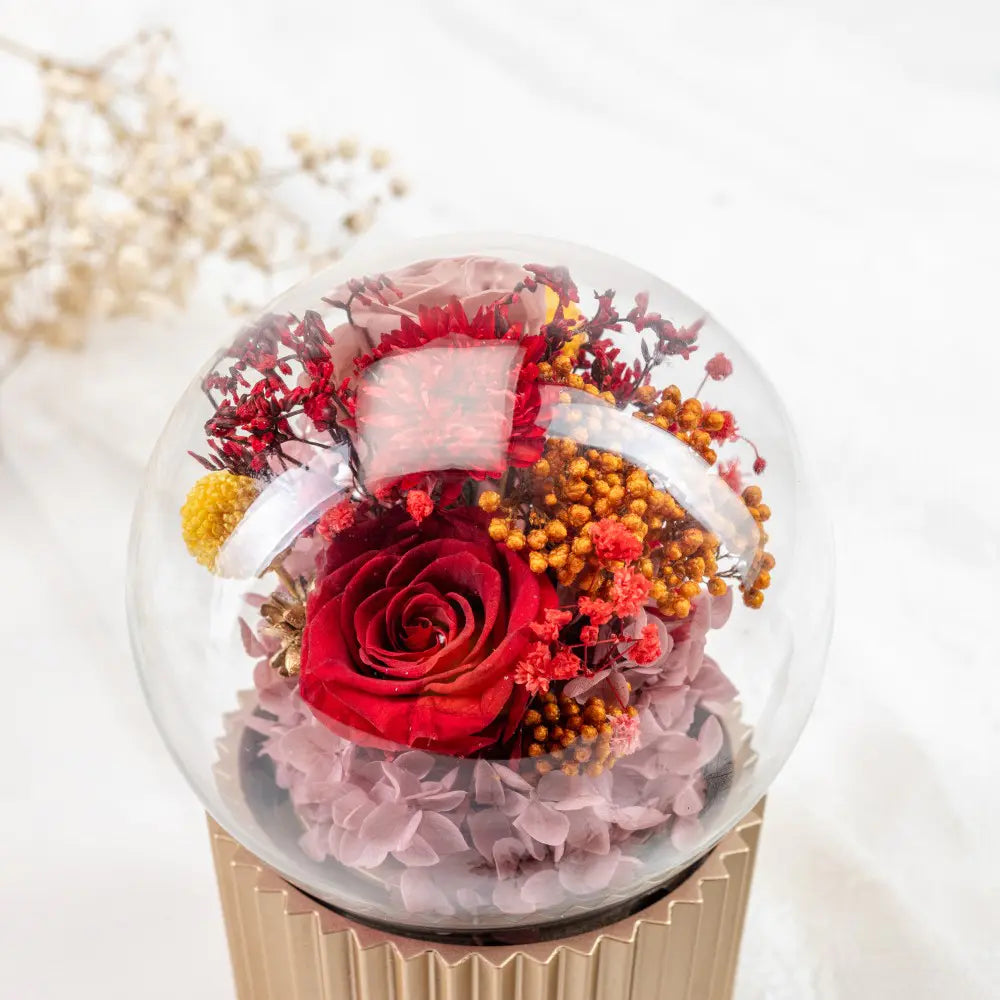 Eternity Flower Music Gift Box，20250506-12