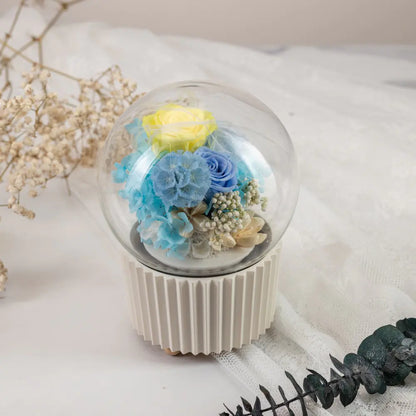 Eternity Flower Music Gift Box，20250506-6