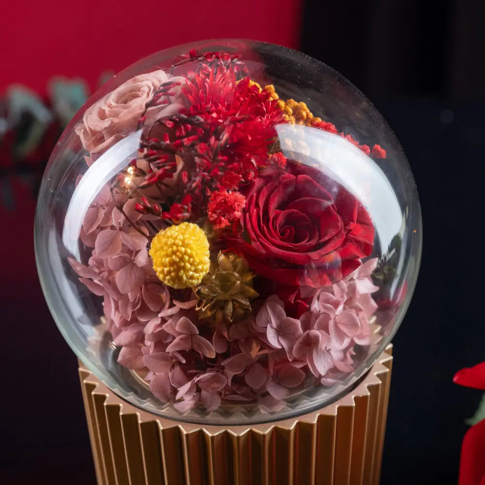 Eternity Flower Music Gift Box，20250506-9