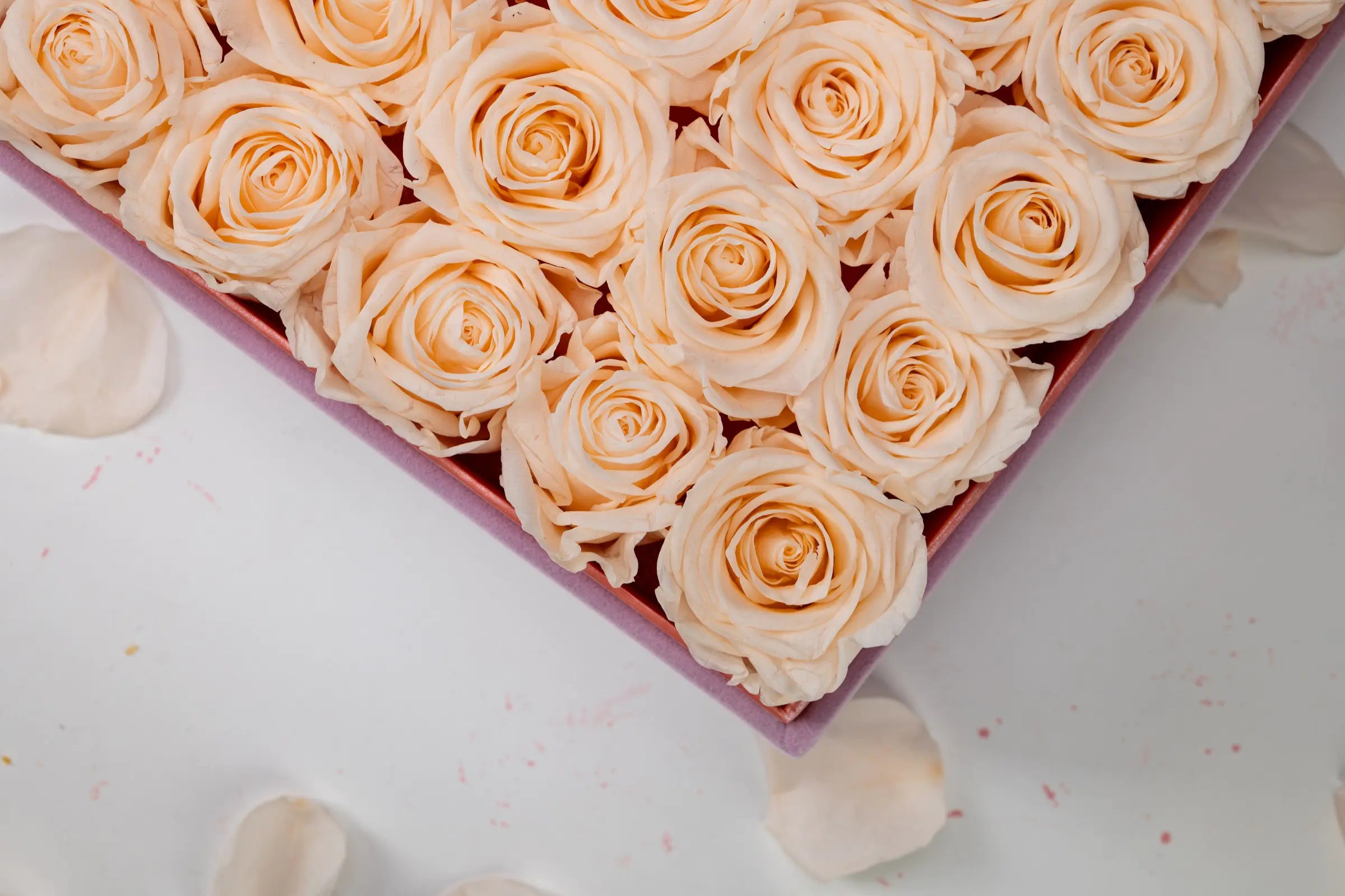 Flower Gift Shape，20250416-1