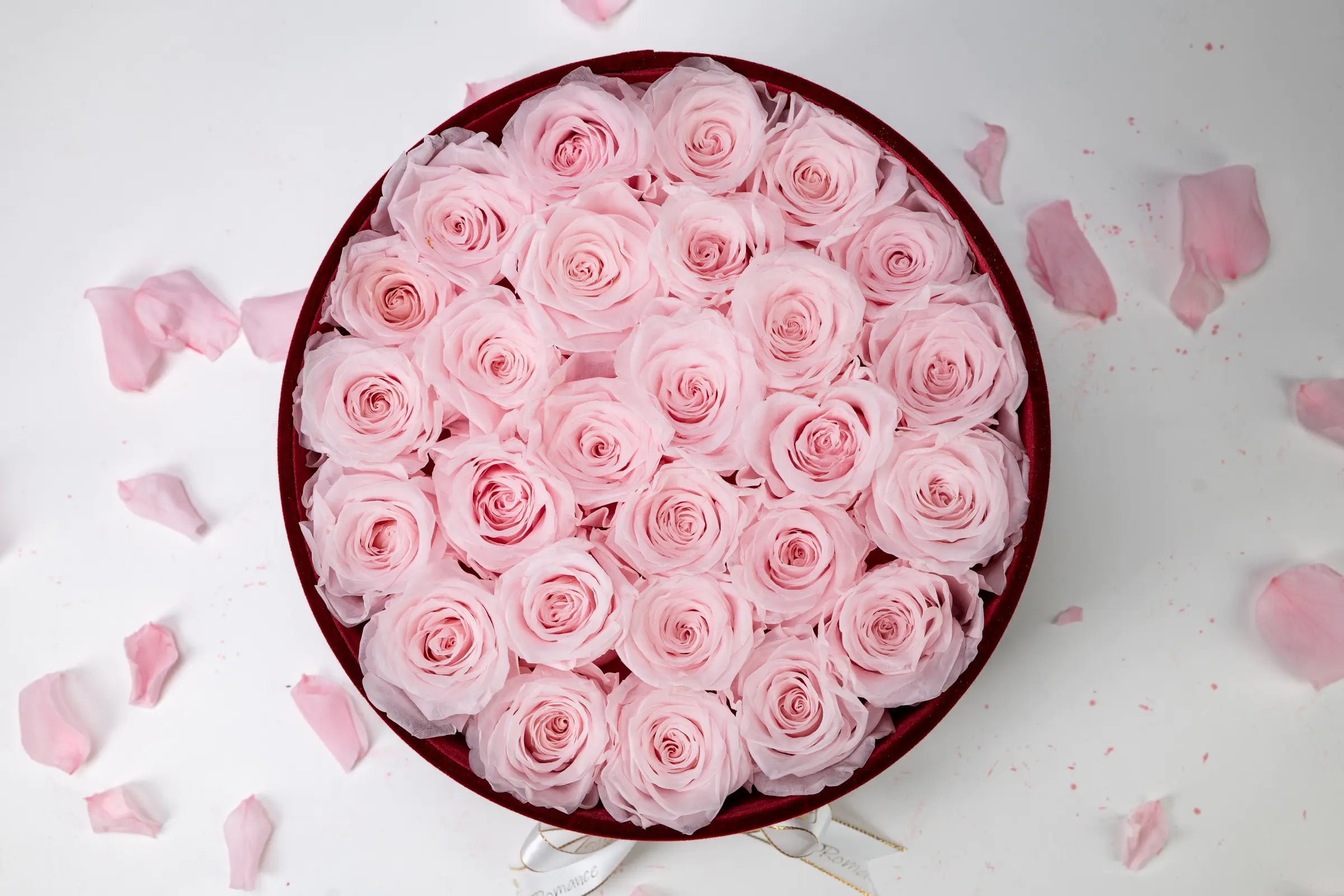 Flower Gift Shape，20250416-11