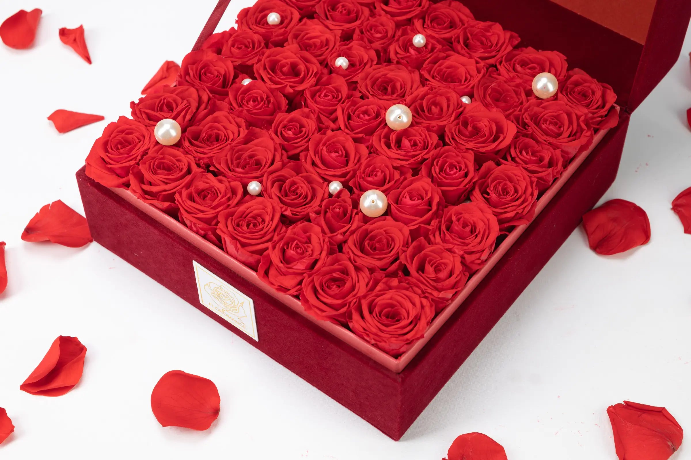 Flower Gift Shape，20250416-15
