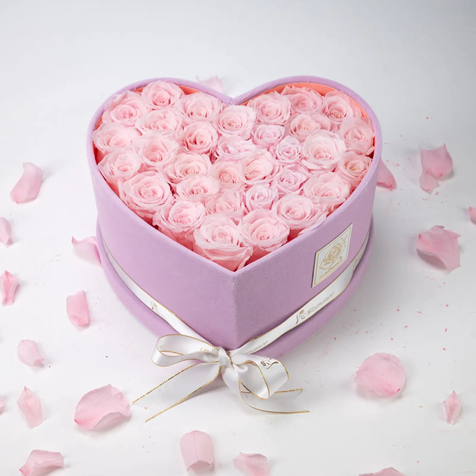 Flower Gift Shape，20250416-4