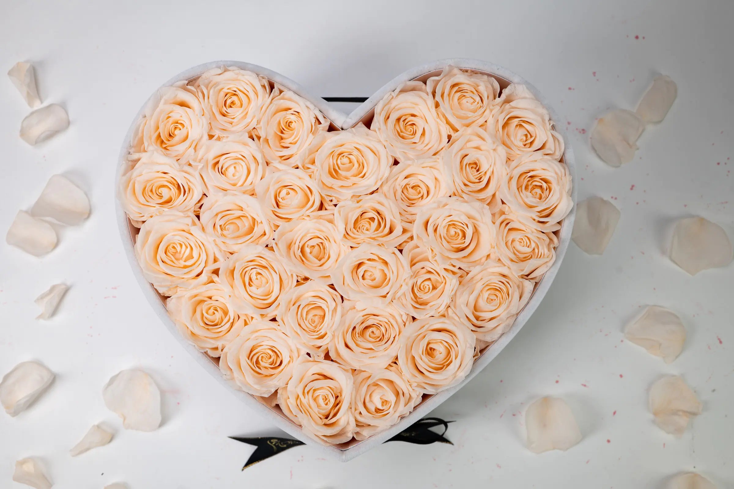 Flower Gift Shape，20250416-8
