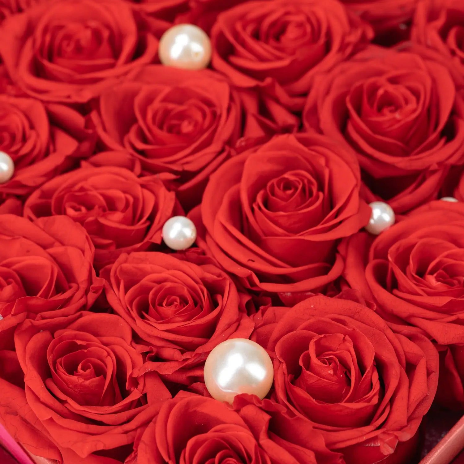 Forever_Flower_20250416-4