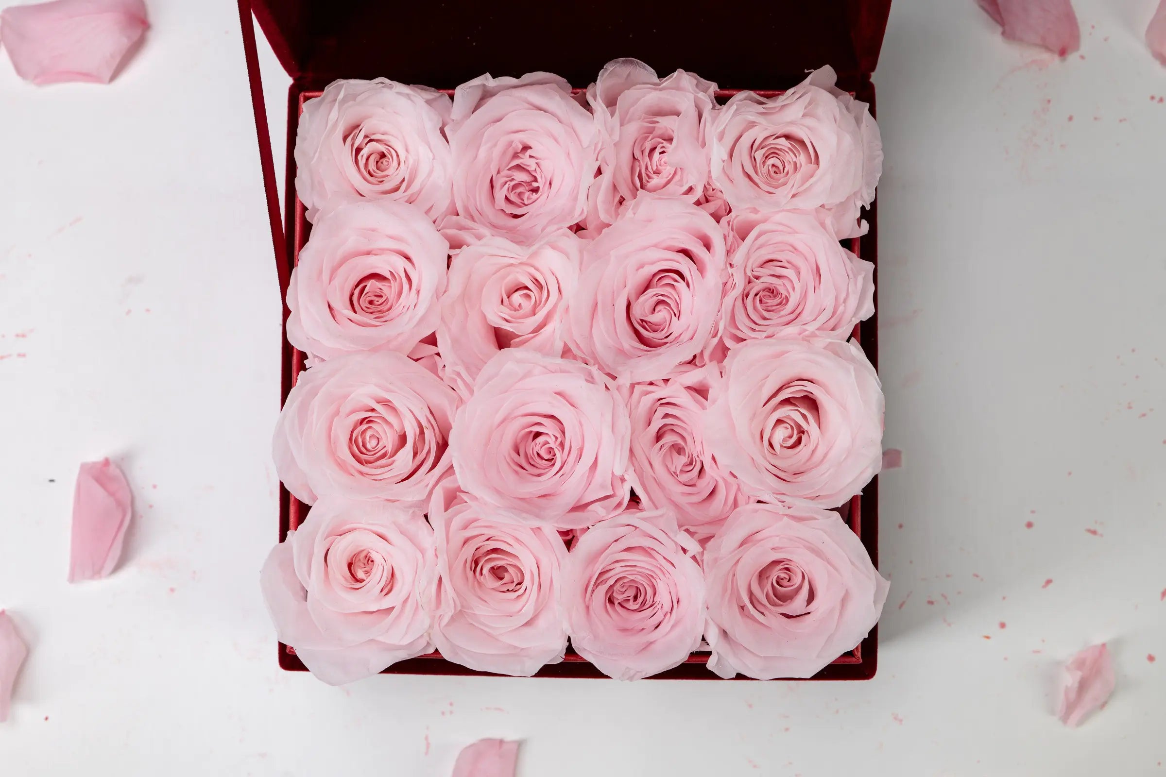 Graduation Gifts，20250417-6