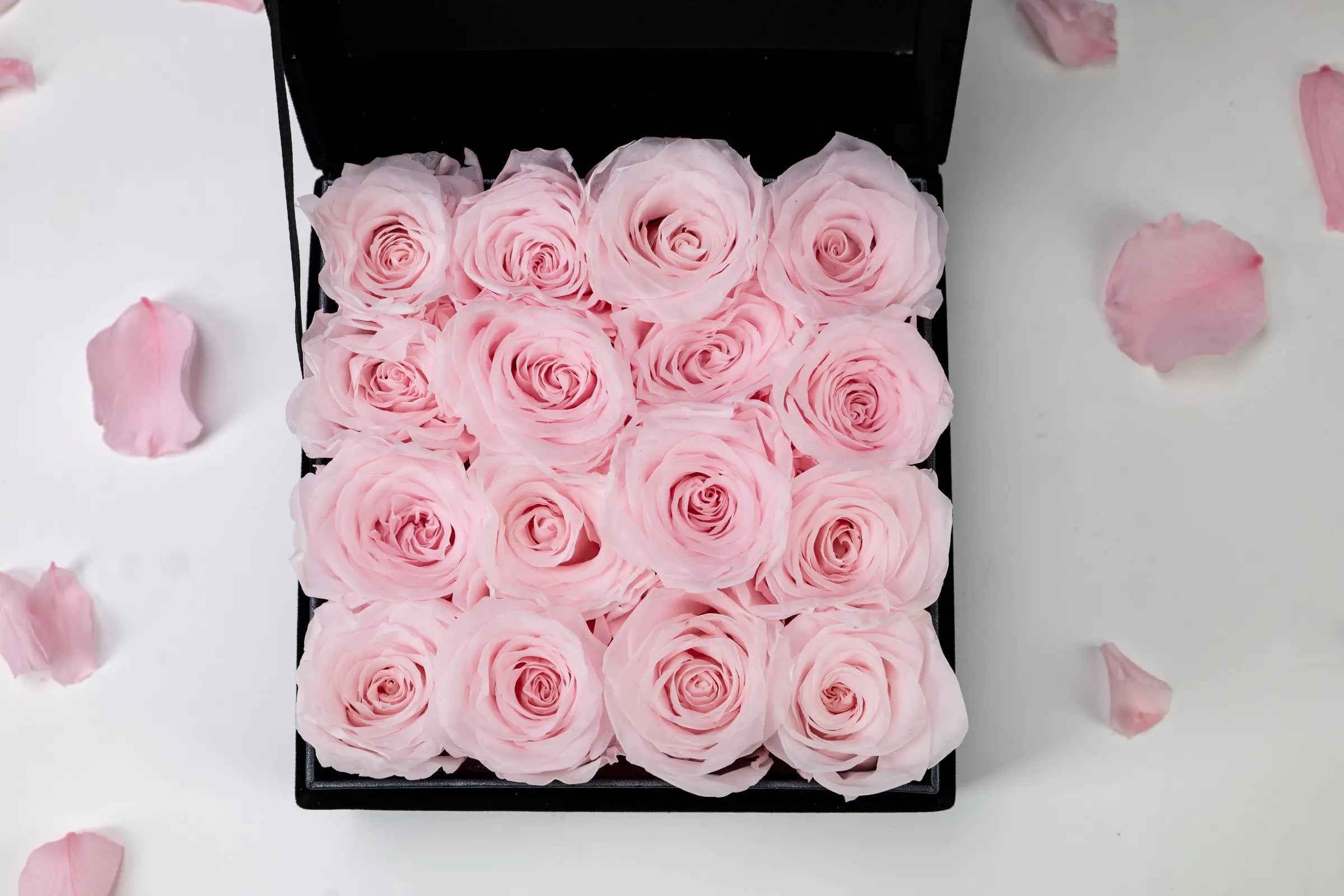 Graduation Gifts，20250417-7