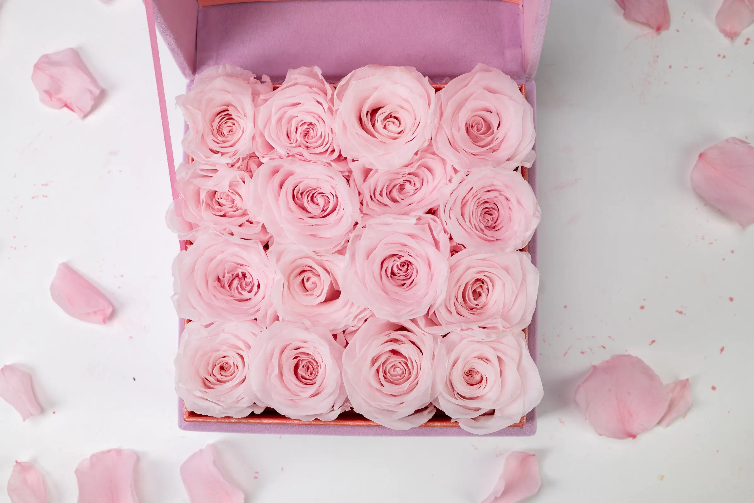 Graduation Gifts，20250417-8
