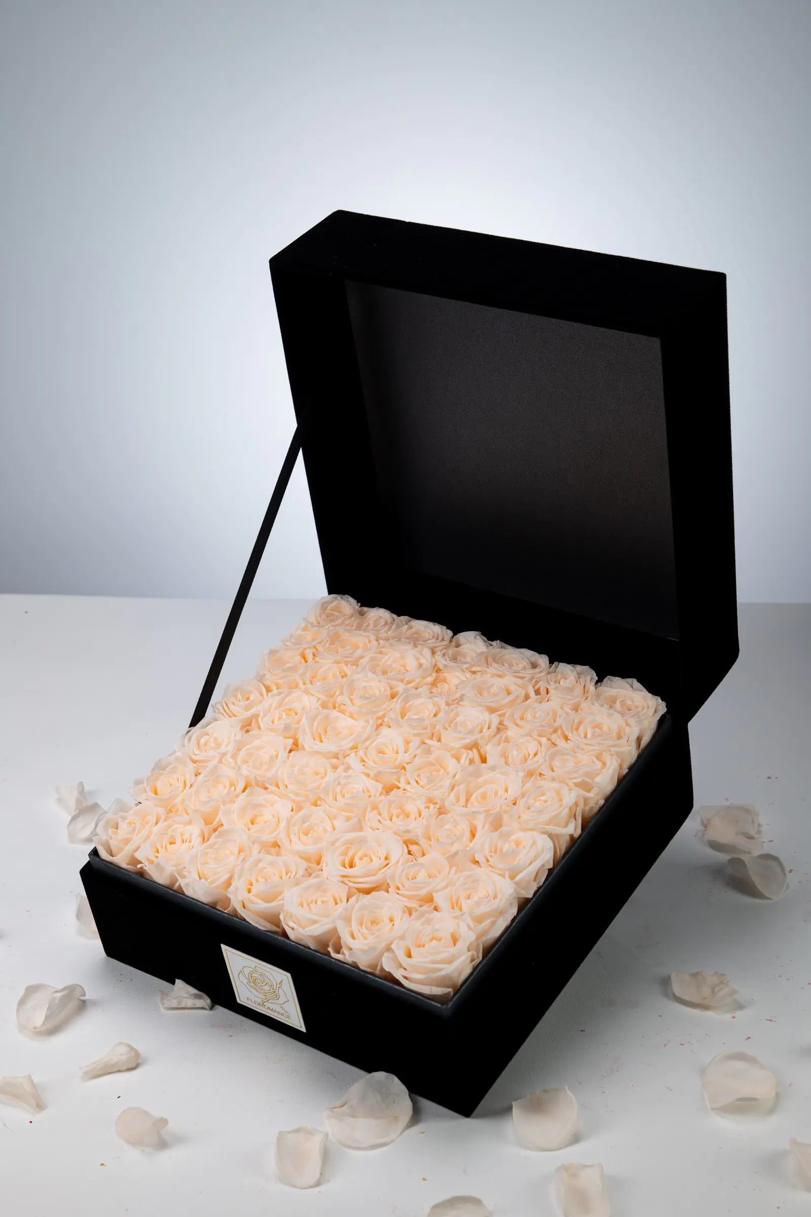 Halloween Gifts，20250417-10