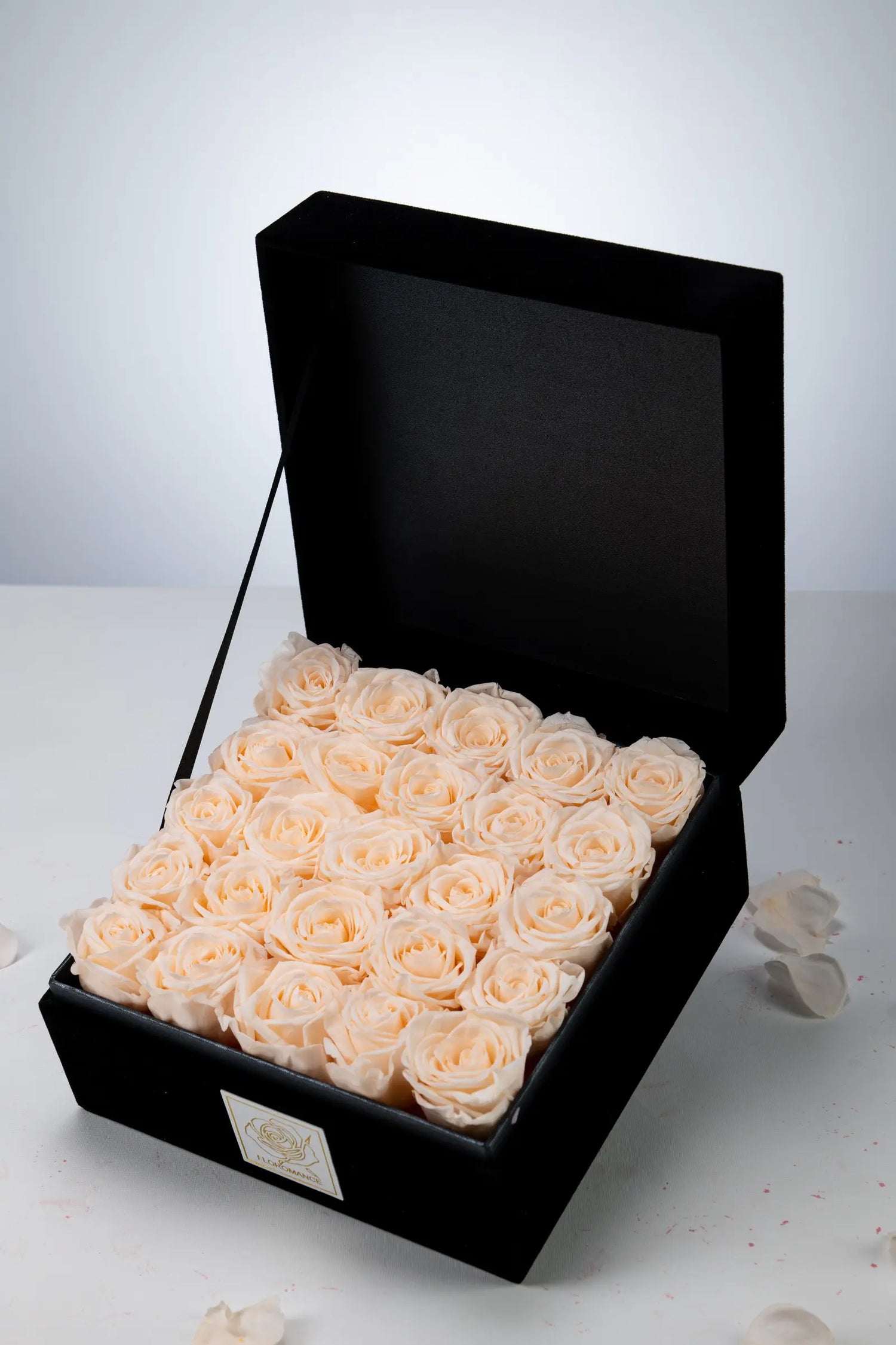 Halloween Gifts，20250417-4