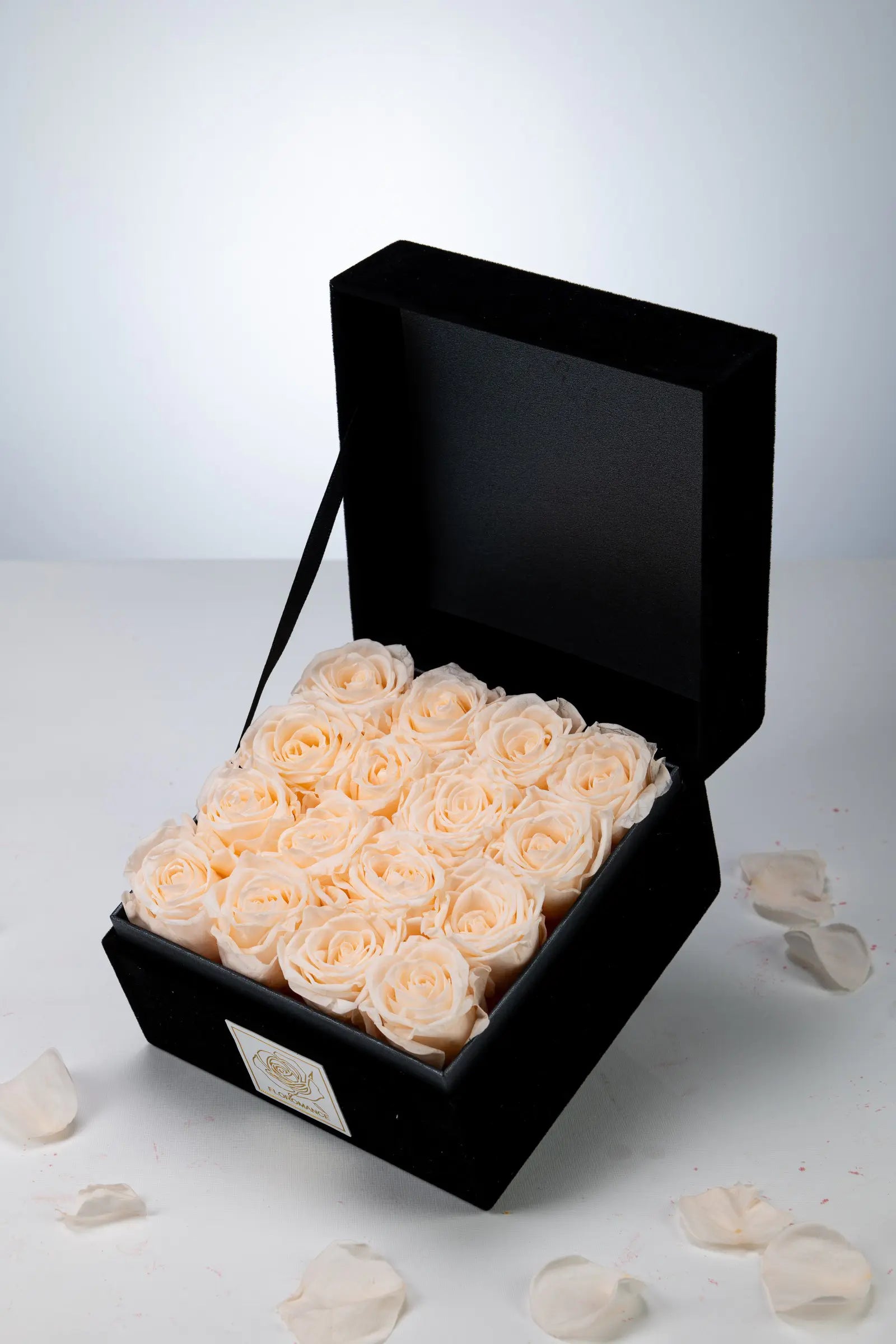 Halloween Gifts，20250417-5
