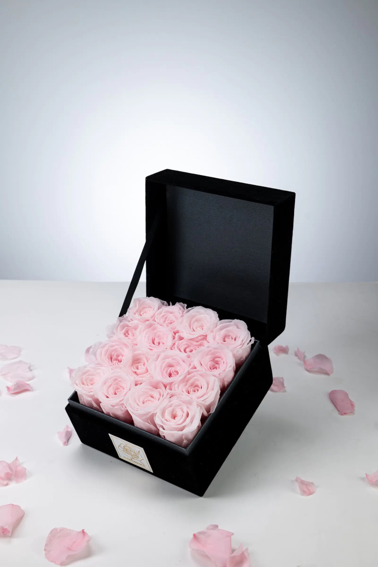 Halloween Gifts，20250417-8