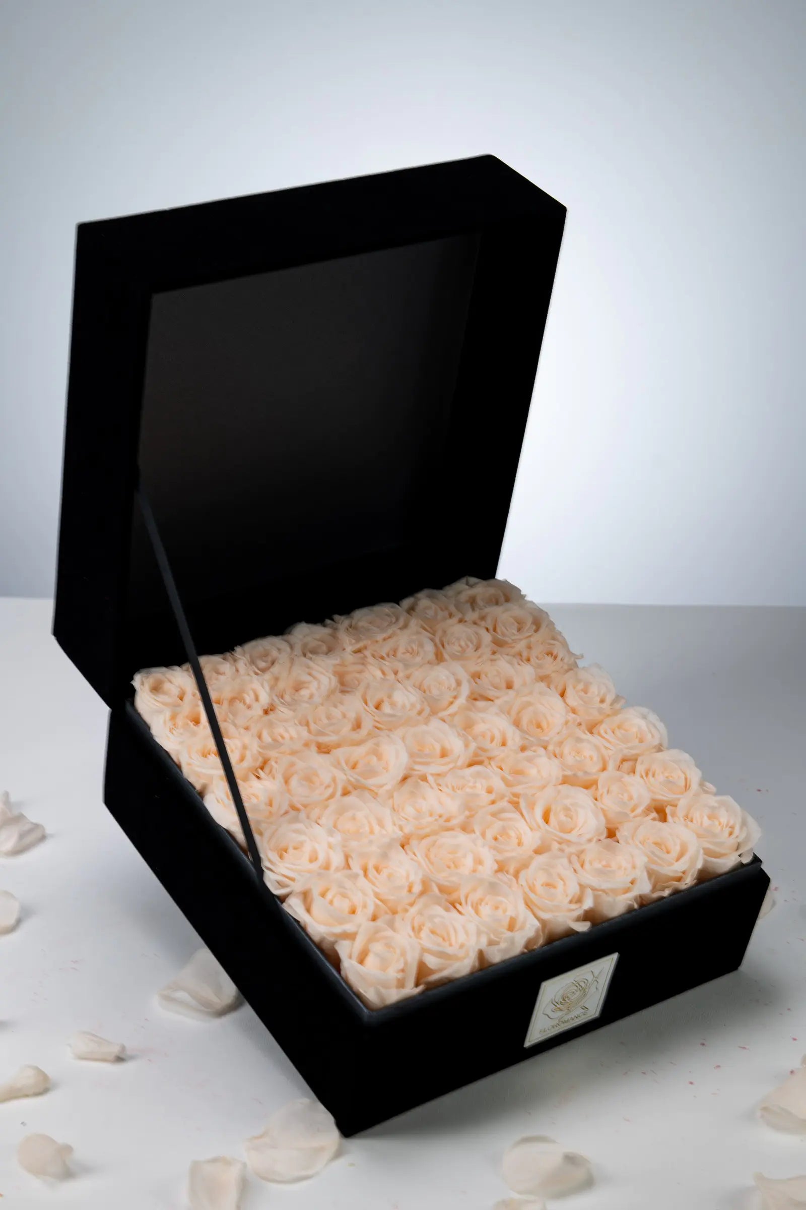 Halloween Gifts，20250417-9