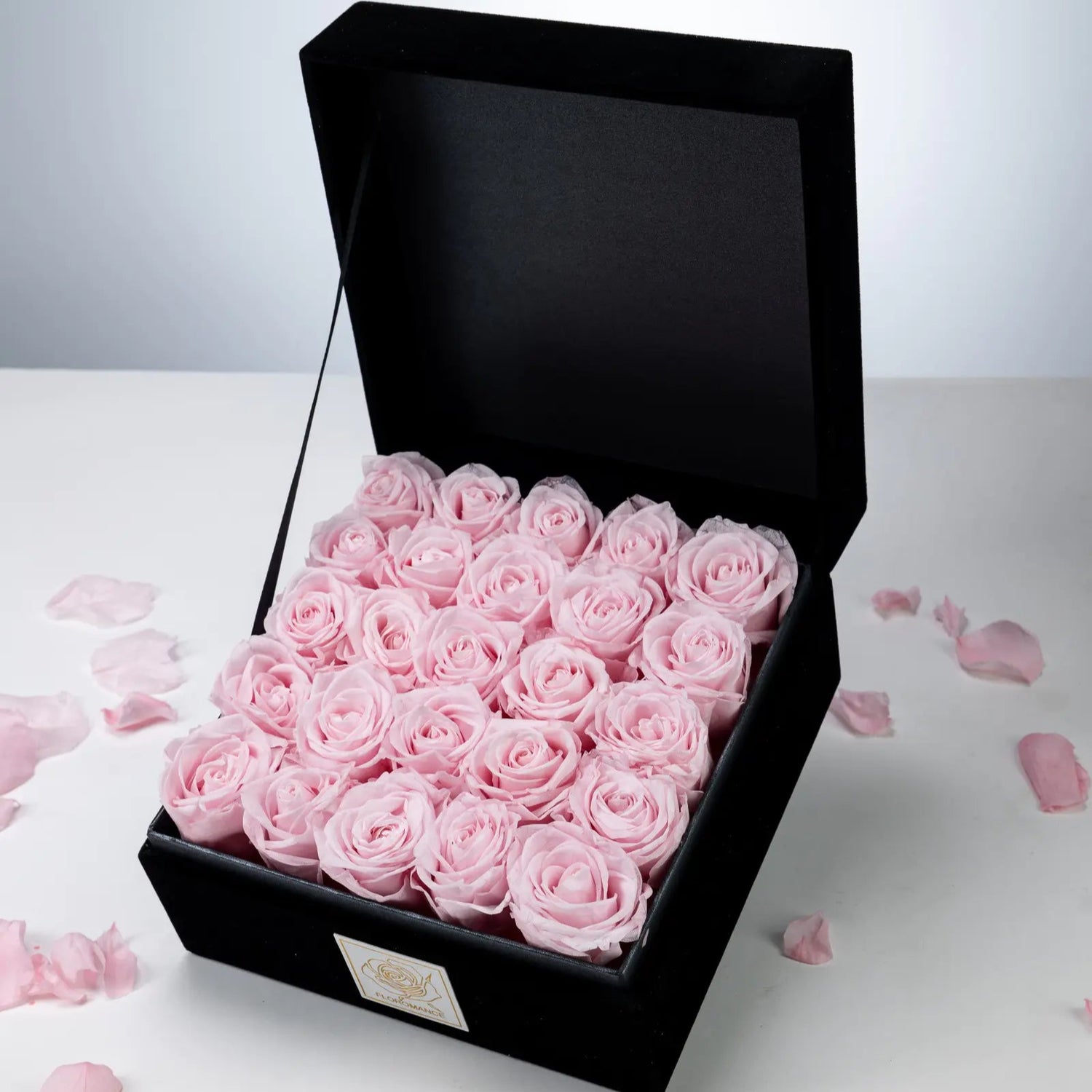 Infinite Flower，20250414-6