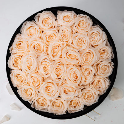 Bespoke Champagne Roses in Large Round Black Gift​ Box