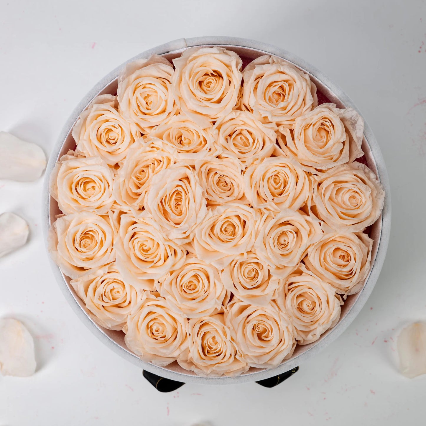 Bespoke Champagne Roses in Medium Round White Gift Box