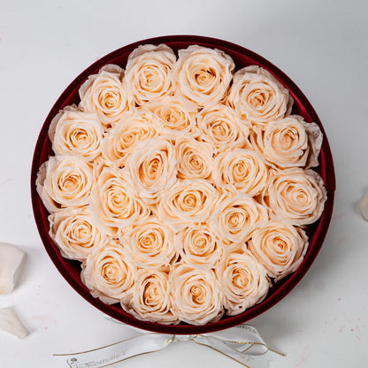 Bespoke Champagne Roses in Medium Round Burgundy Gift Box