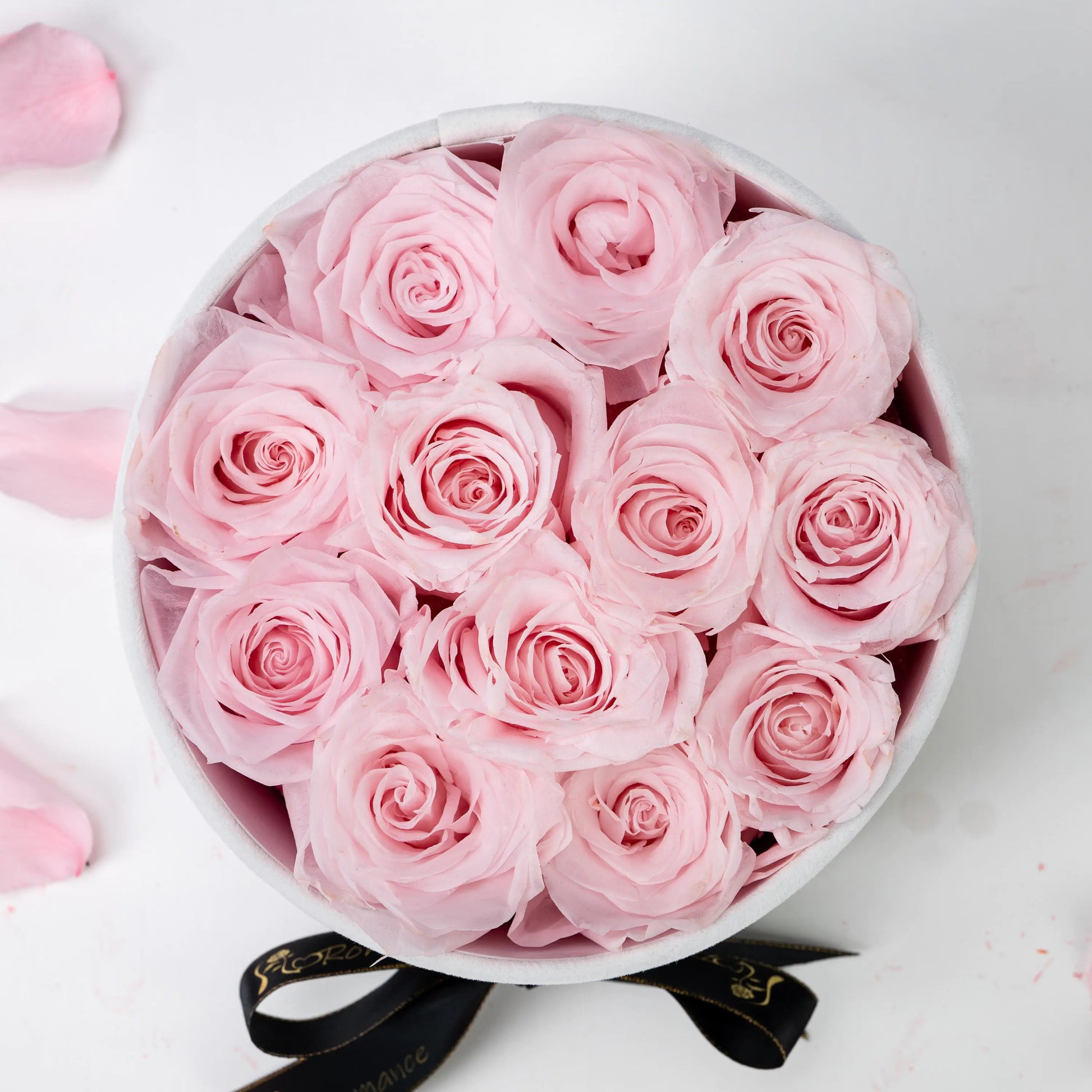 Floromance Bespoke Pink Roses in Small Round White Gift Box