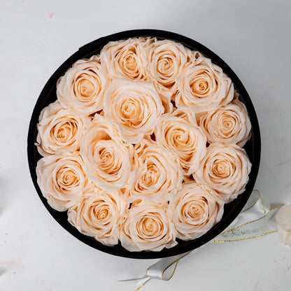 Bespoke Champagne Roses in Small Round Black Gift Box