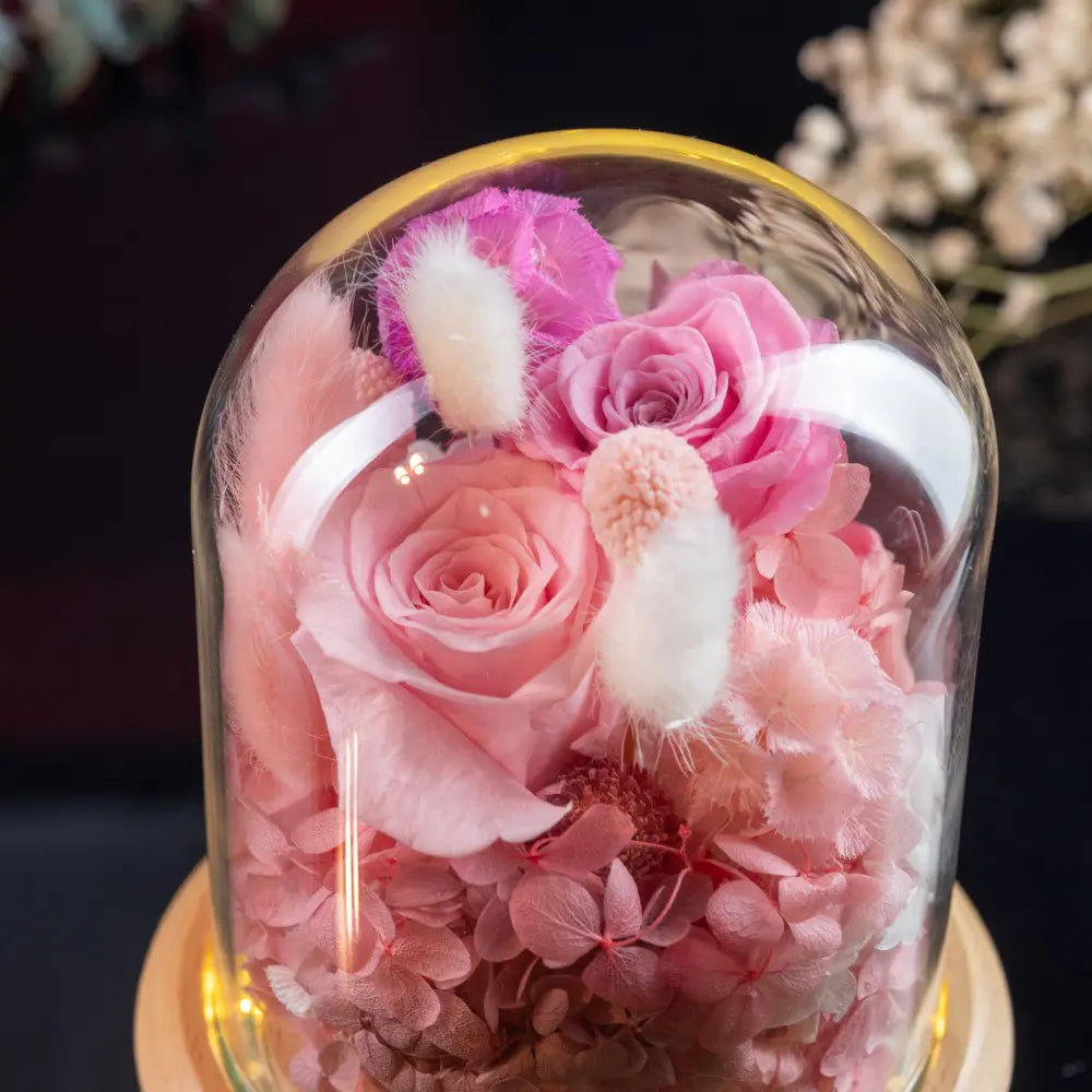 Preserved Flower in Glass Dome，20250507-10